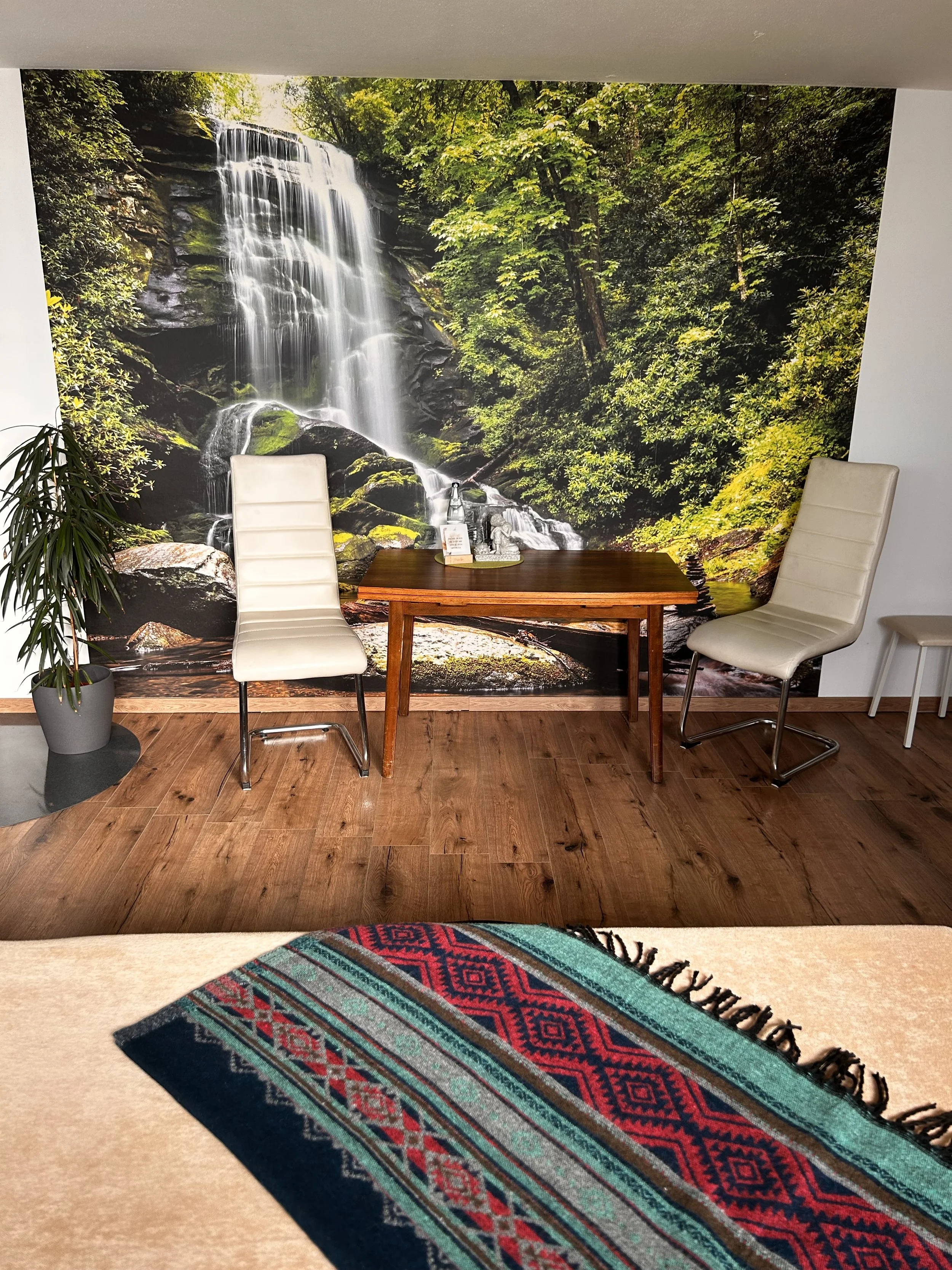 Ein Zimmer mit einem Wandbild eines Wasserfalls in einem Wald, zwei weiße Ledersessel, ein Holztisch mit Gläsern und Wasserflaschen, eine grüne Topfpflanze, ein bunter Teppich auf dem Teppichboden.