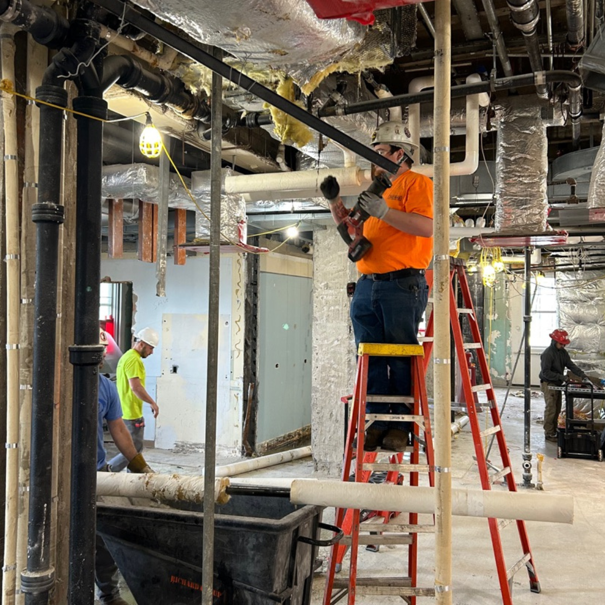 Untitled design (1).png