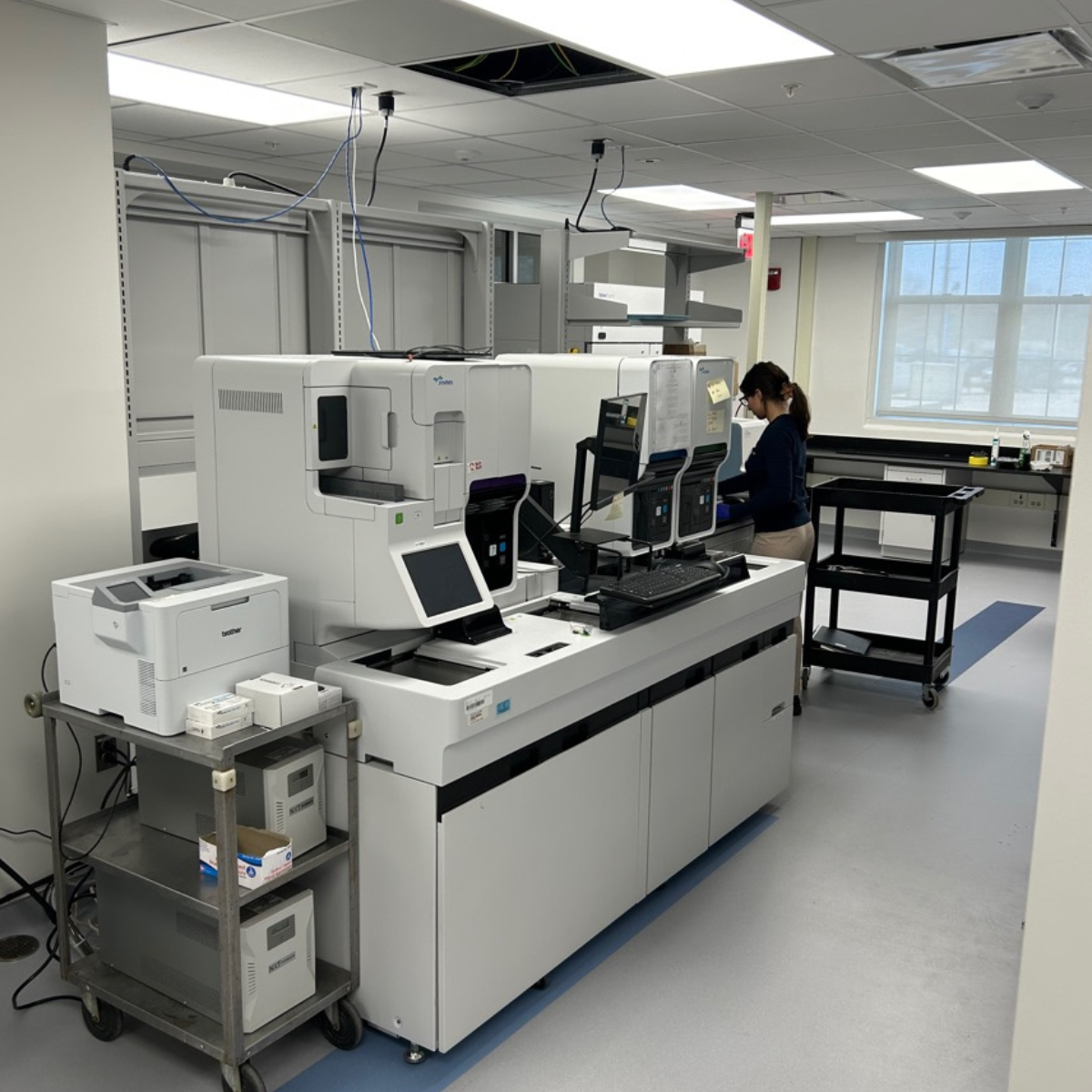 Untitled design (2).png