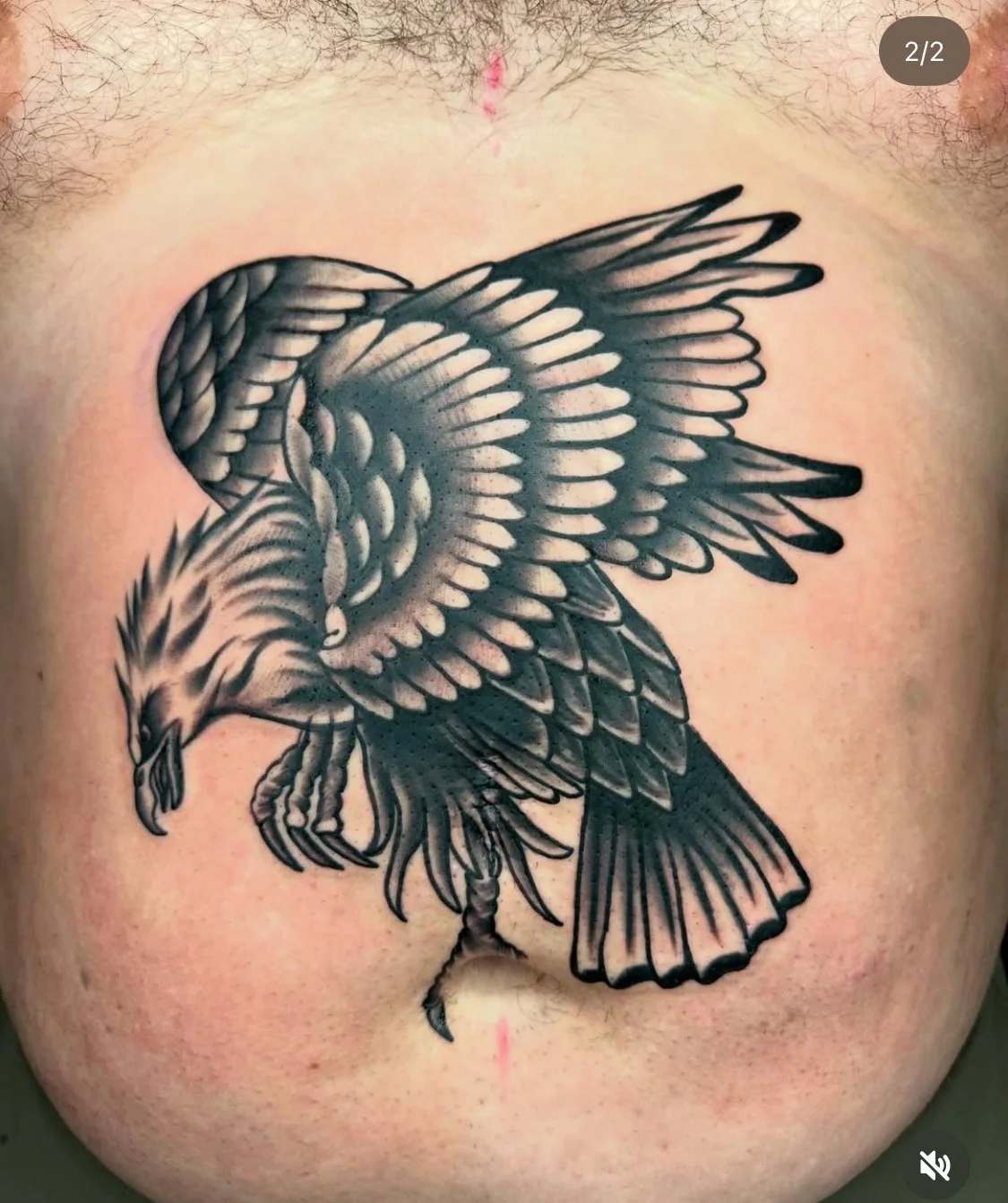 Close-up photograph of a large eagle traditional tattoo on a man's abdomen