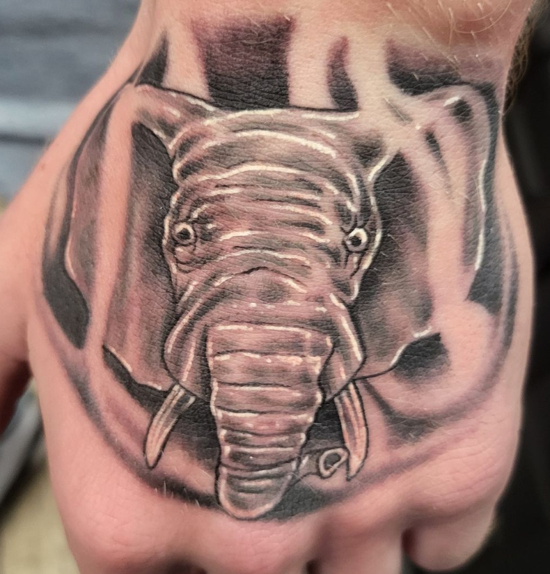 Jesse Elephant Hand.PNG