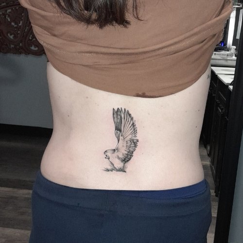 Lower Back.jpg