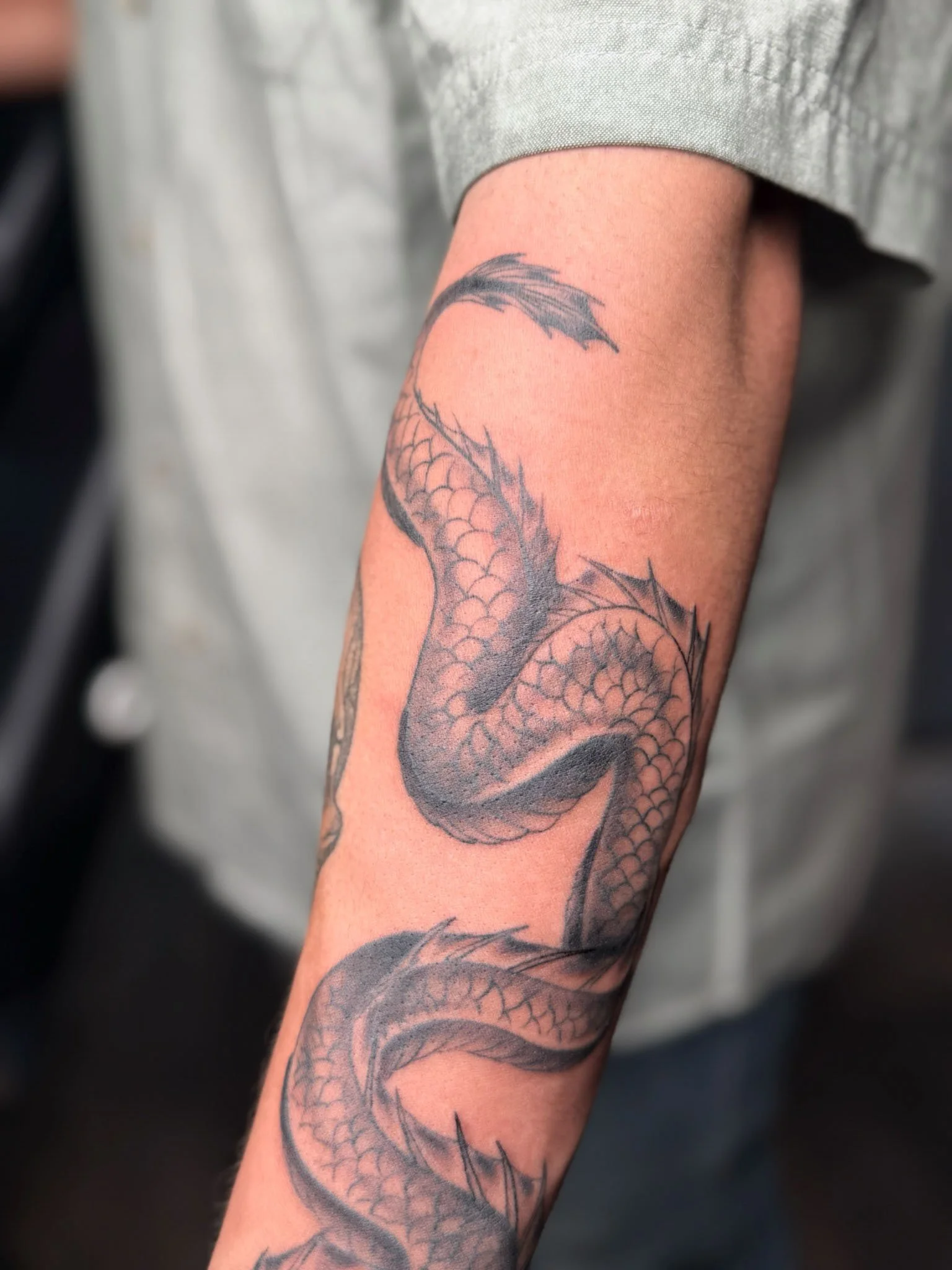 A close-up of a person's arm showing a black and gray dragon tattoo with scales and sharp features.
