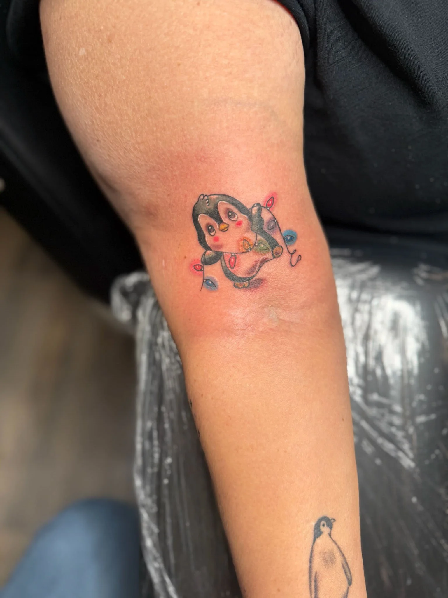 Fresh tattoo of a cute penguin wrapped in colorful Christmas lights on a person's arm.