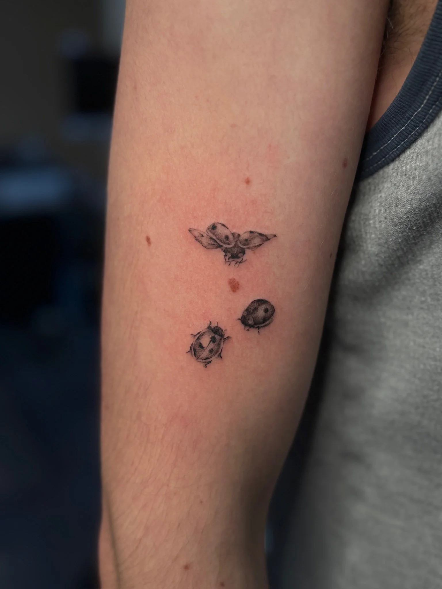 Tattoo of a bee and ladybugs on a person's arm.