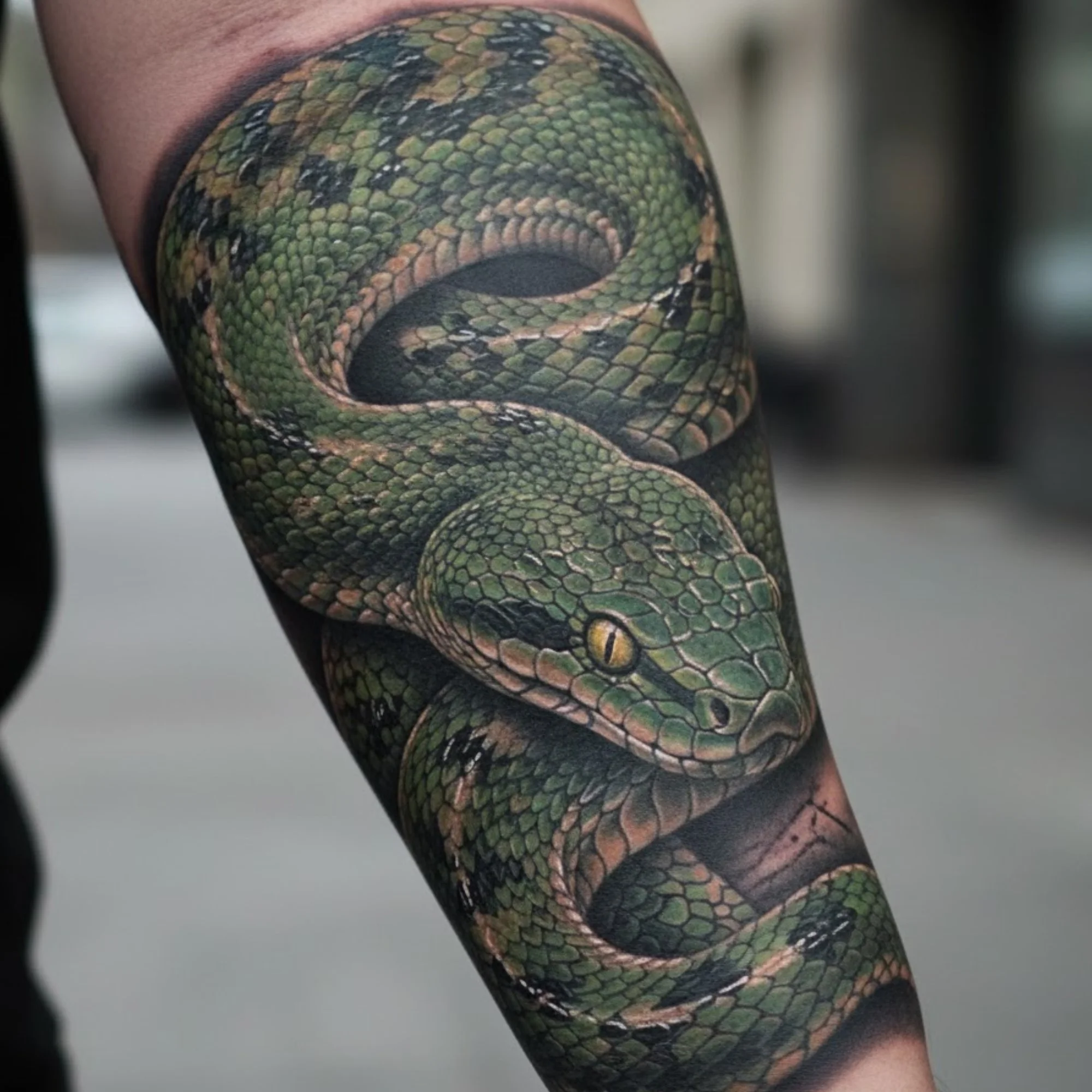 Realistic and Minimalist Snake Tattoos