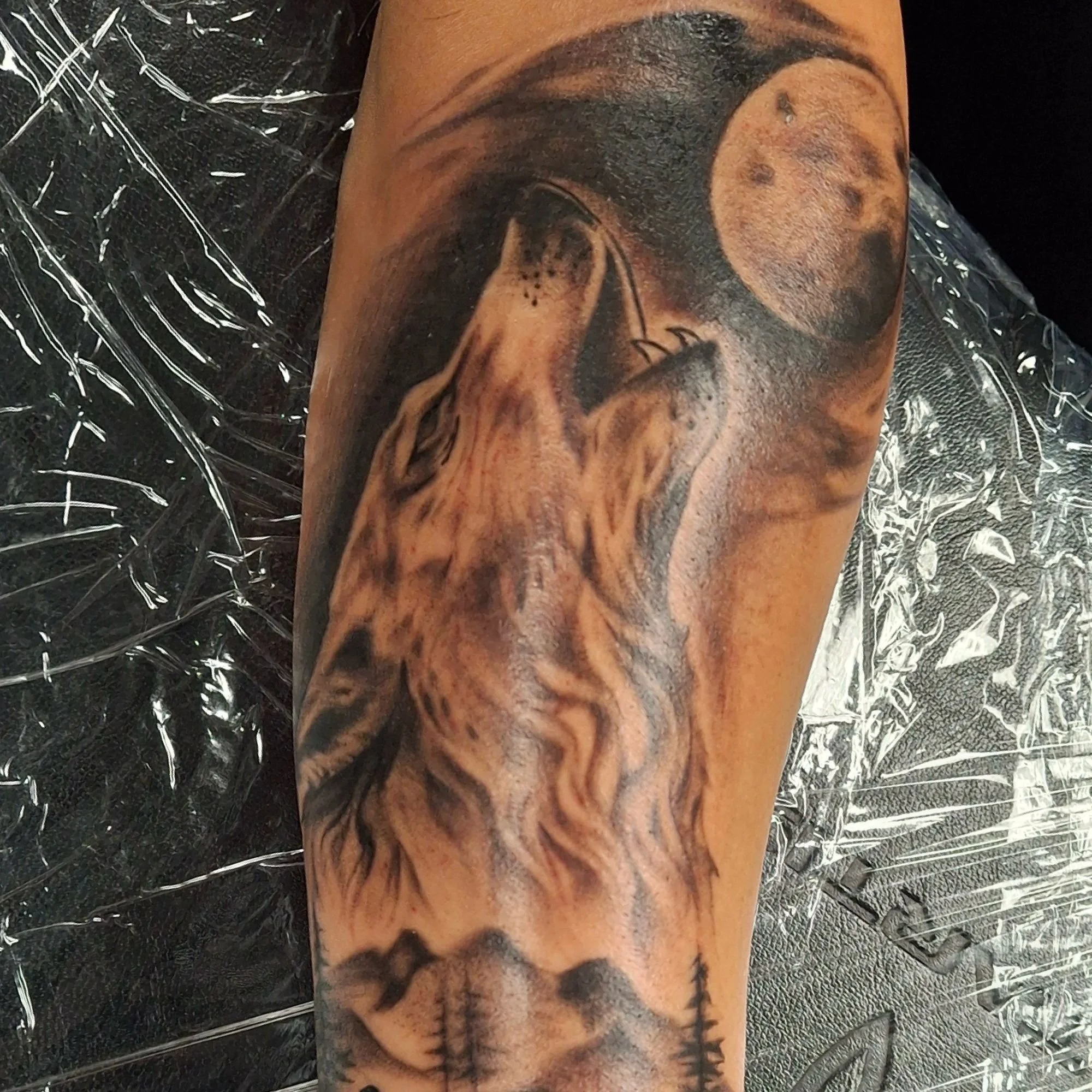 Black and Grey Wolf Tattoos