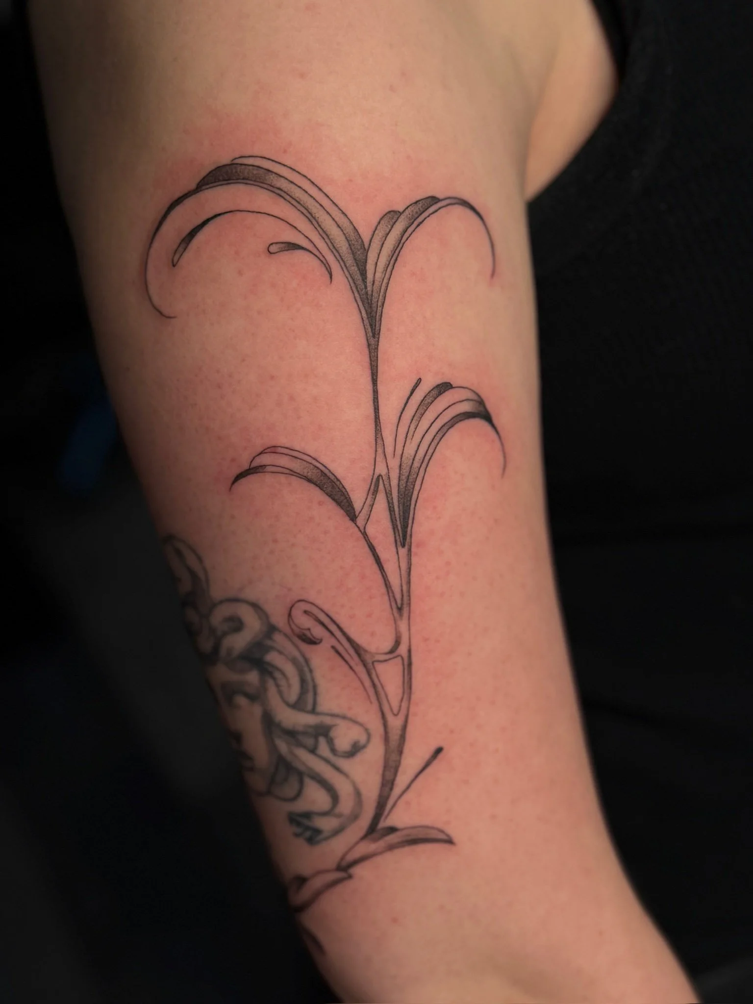 A minimalist black ink tattoo of a plant with long, arched leaves on a person's upper arm.