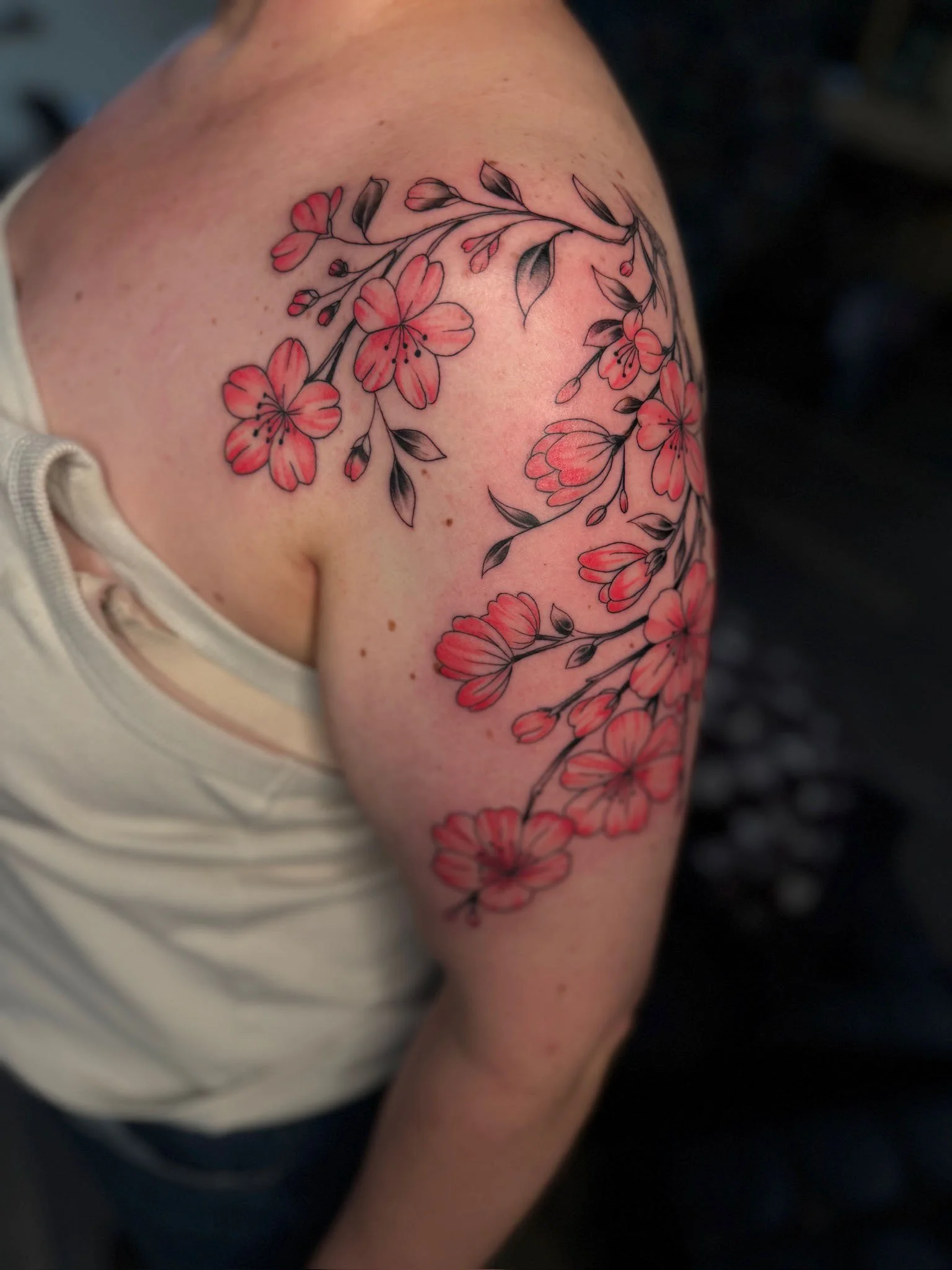 Fresh cherry blossom tattoo on person's shoulder and upper arm featuring pink flowers with black outlines and details.