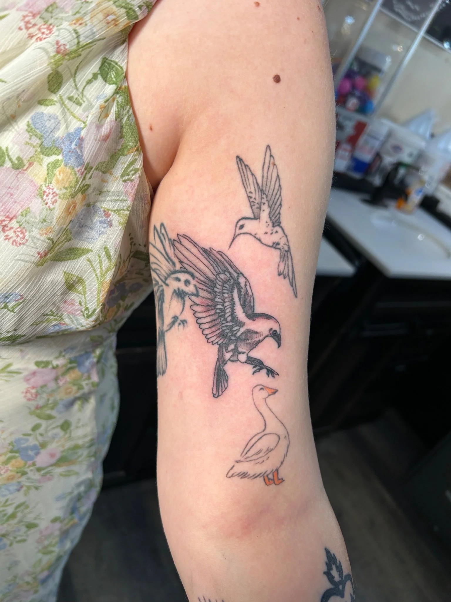 2026-10-04_TJ_BlackGray_Fresh_FineLine_Animals.jpg