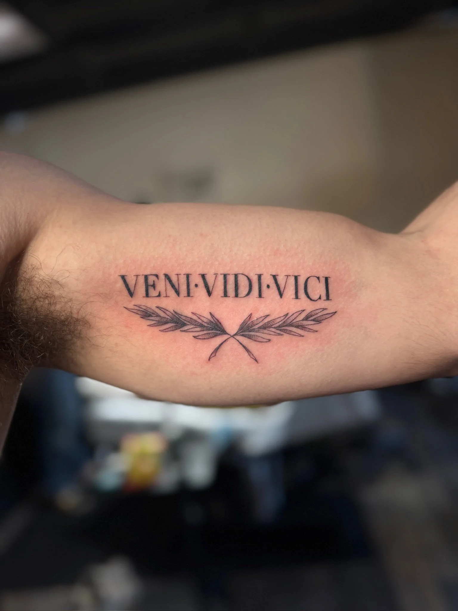 Tattoo of the Latin phrase 'Veni Vidi Vici' above two crossed olive branches on a person's inner forearm.