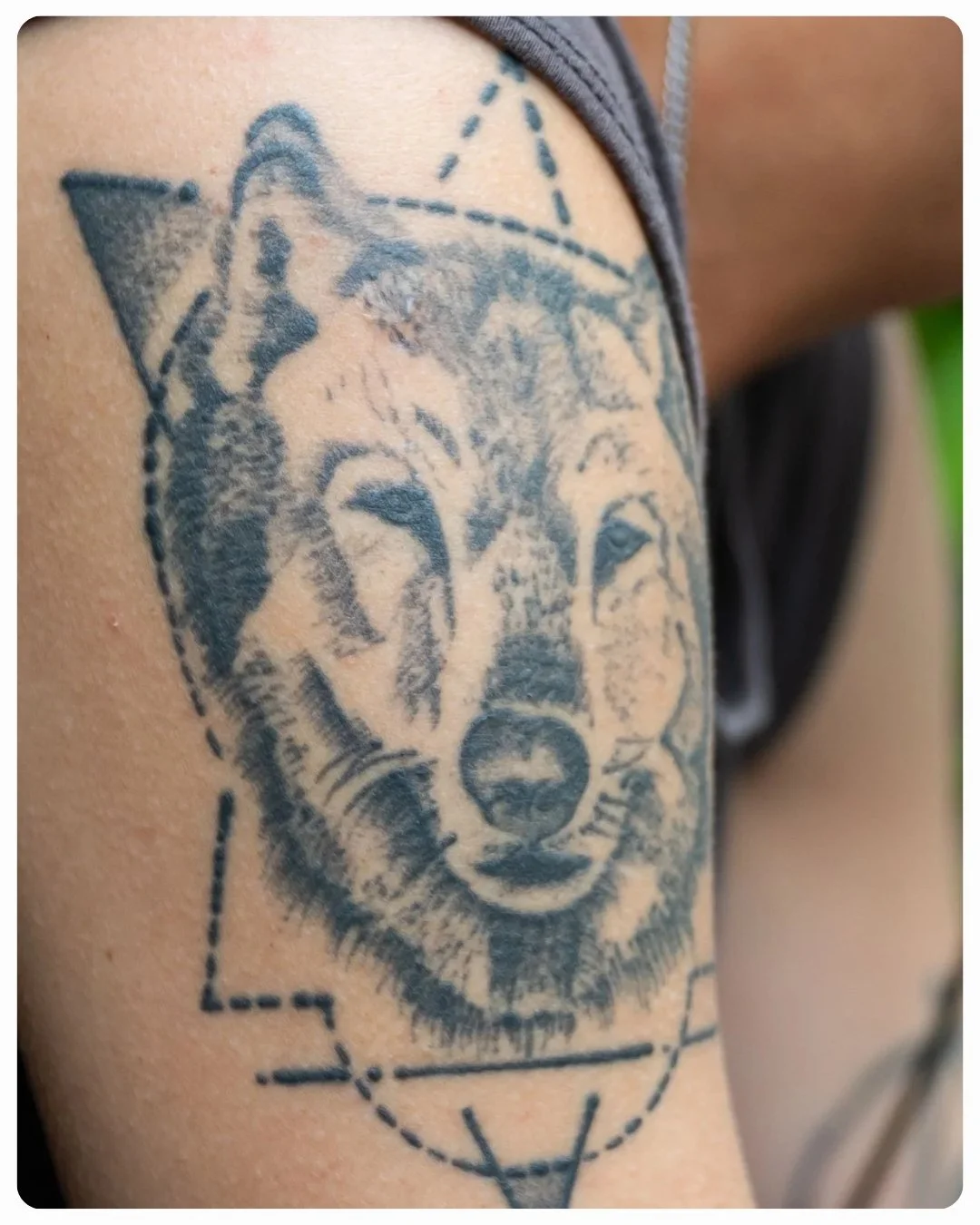 Lone wolf Tattoo