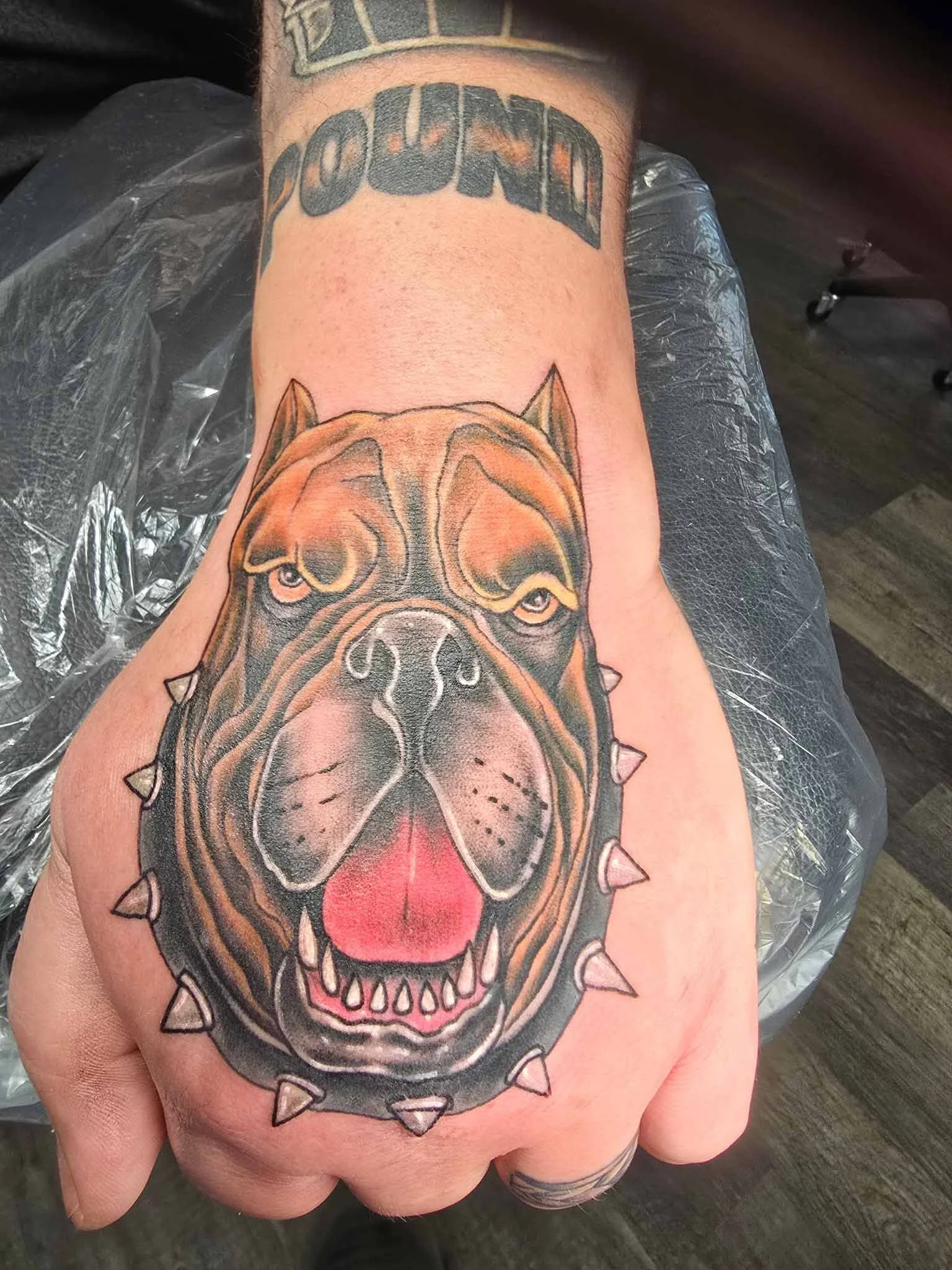 Tattoo of a fierce dog with a spiked collar, bared teeth, and a pink tongue on a person's arm.