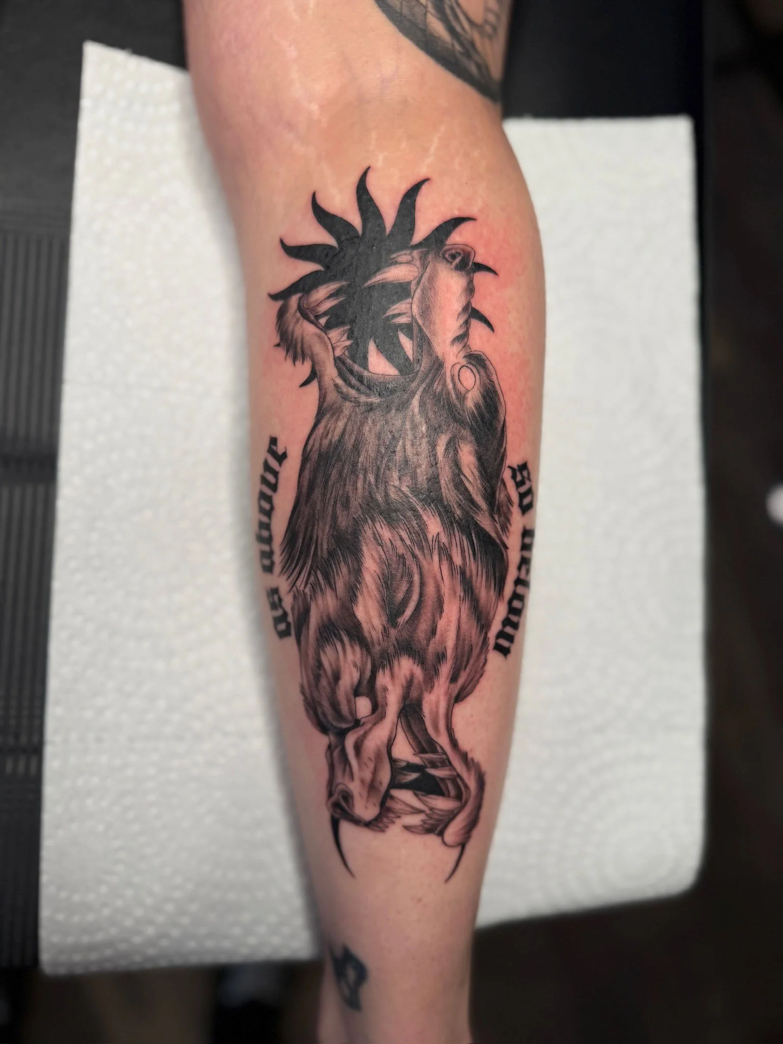 Black and gray tattoo of a majestic phoenix bird with wings spread, detailed feathers, and Arabic calligraphy text on the sides on the forearm.