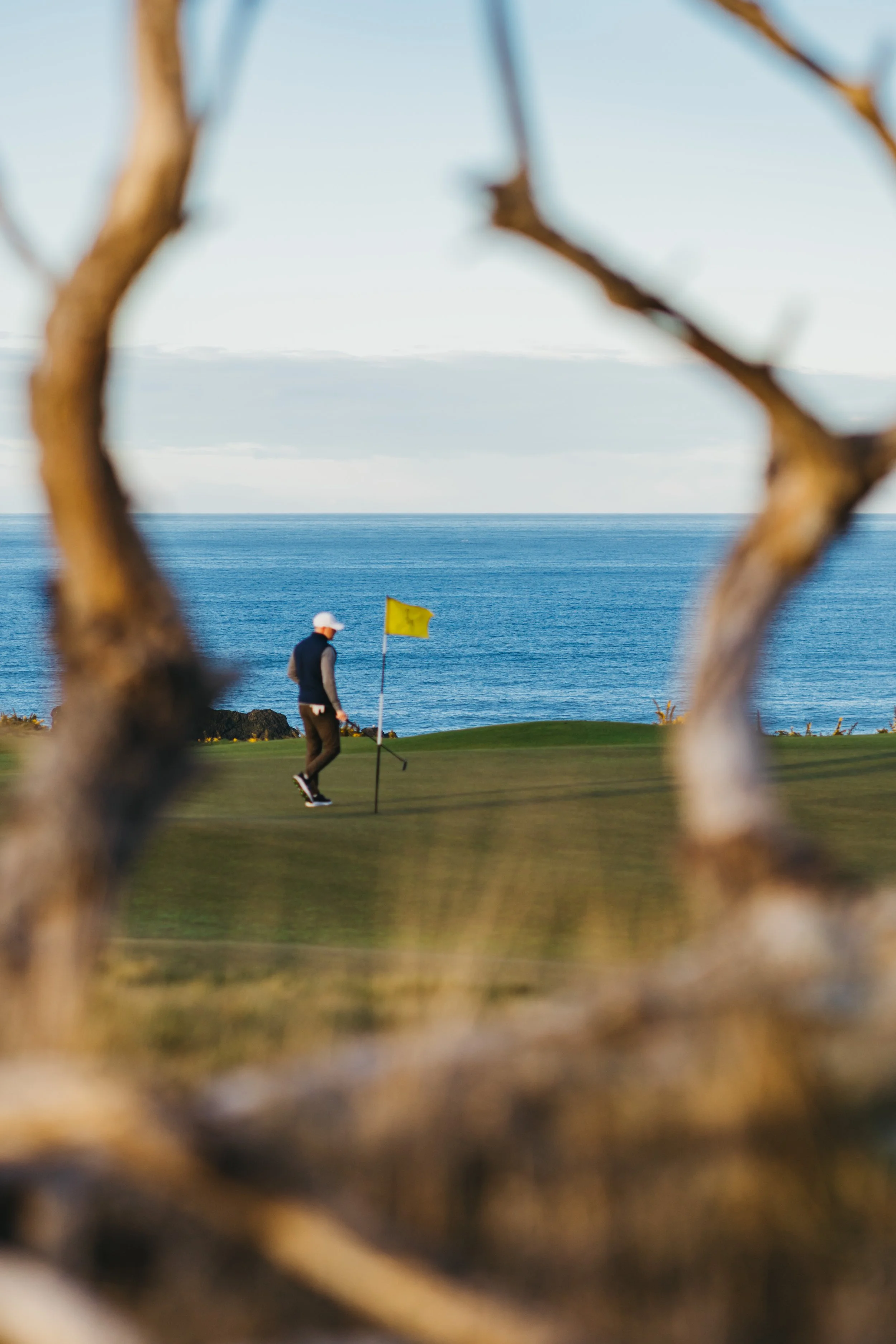 A person playing golf on a course with the ocean in the background, framed by tree branches.