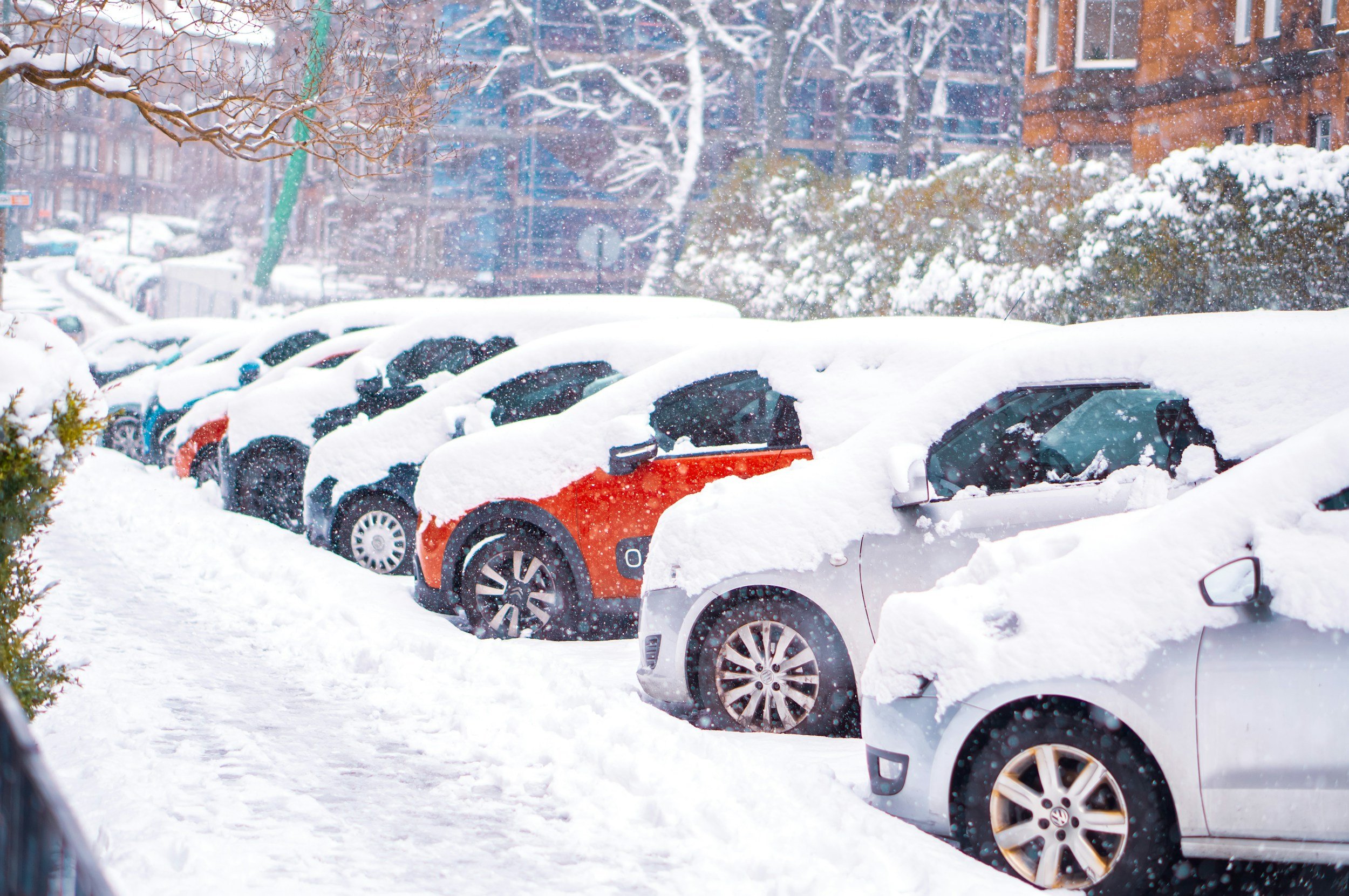 What to Look Out for on the Road When Driving
