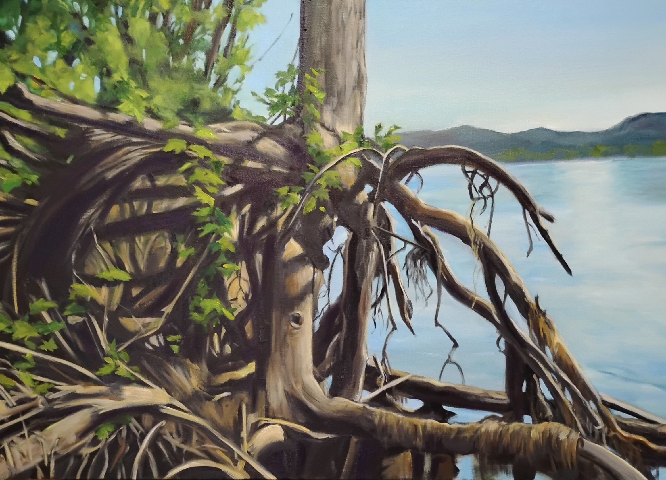 Jeanine Hill-Soldner   HOLDING ON
Oil on Canvas
24" W x 36" H
$1,500