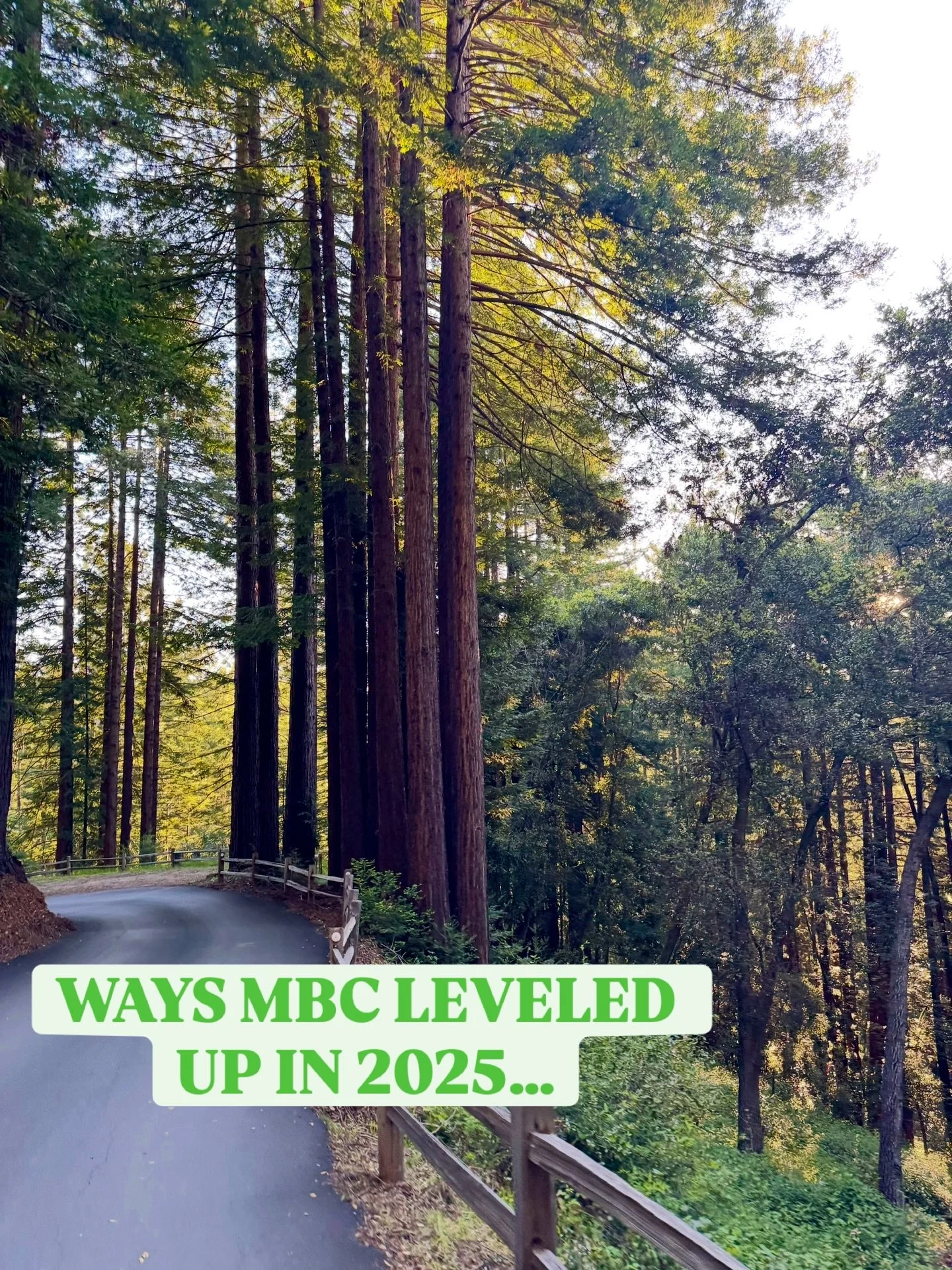 Mountain Bound has been busy this year! We improved in so many ways and look forward to continued growth in 2026. New businesses always come with challenges but we endlessly appreciate the patience, support and excitement we&rsquo;ve received along t