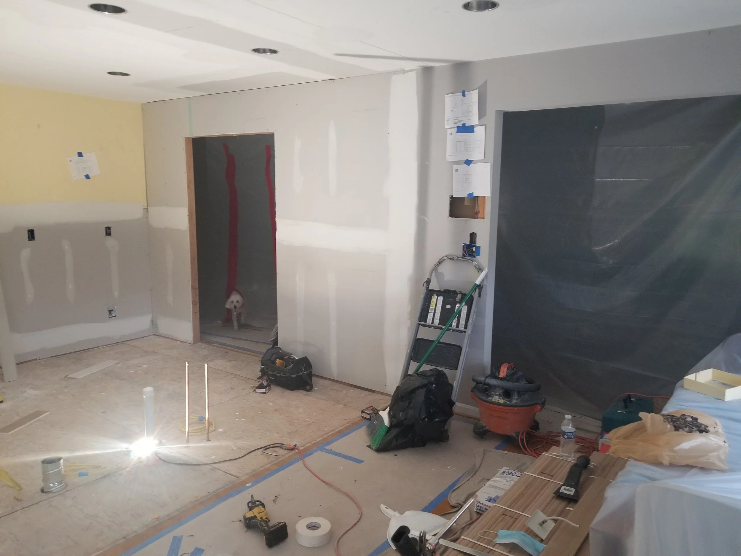 Transitional Kitchen Remodel by Monova Homes project photo 3