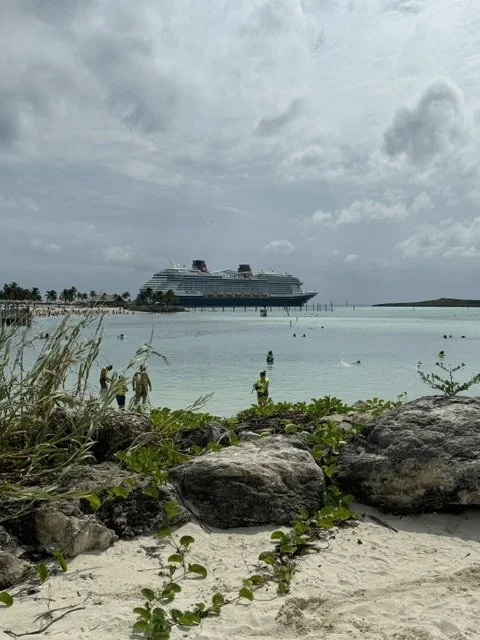 Which Disney Cruise Line Itinerary Is Best for Your Family in 2027?