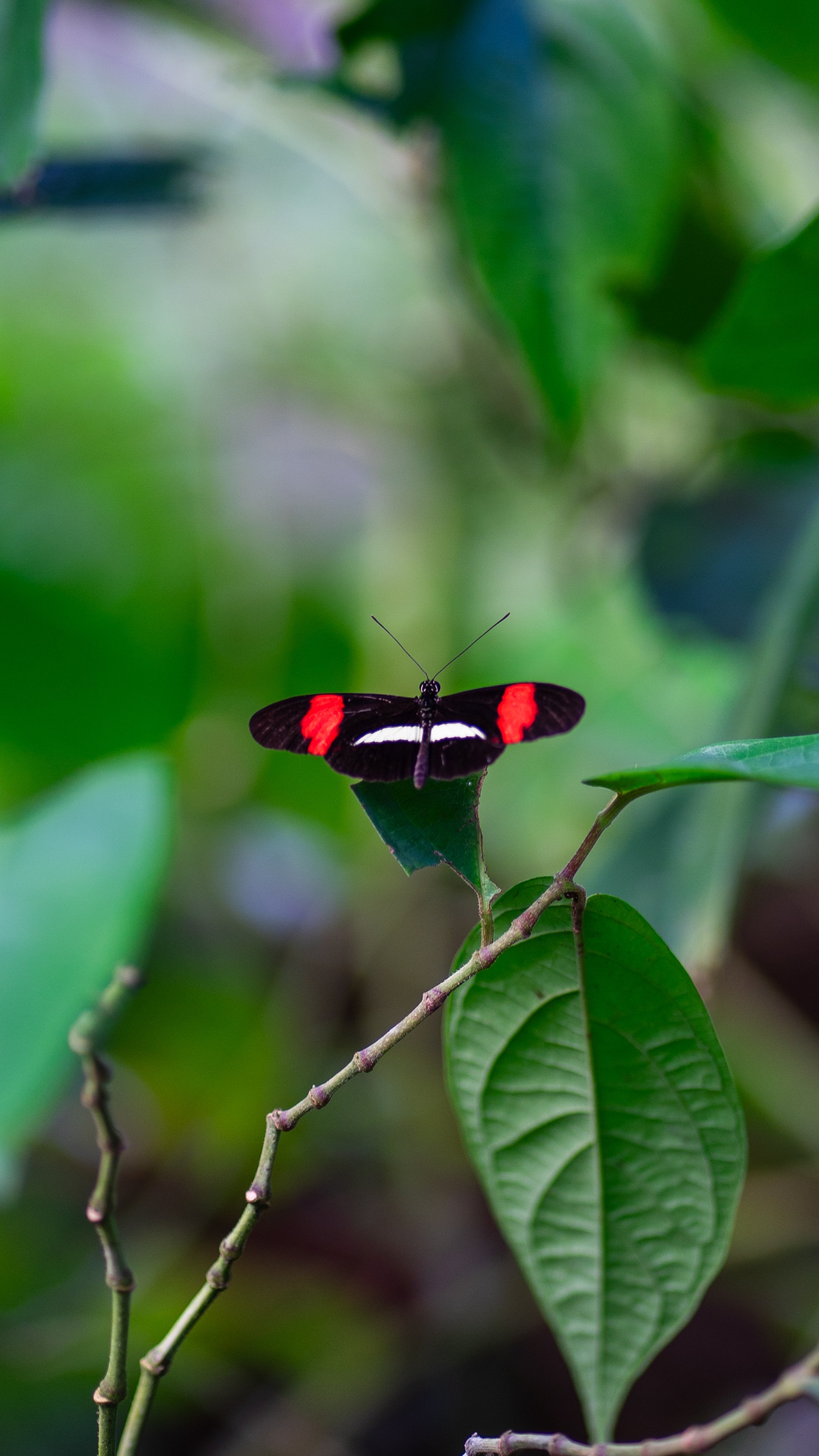_DSC5598.jpg
