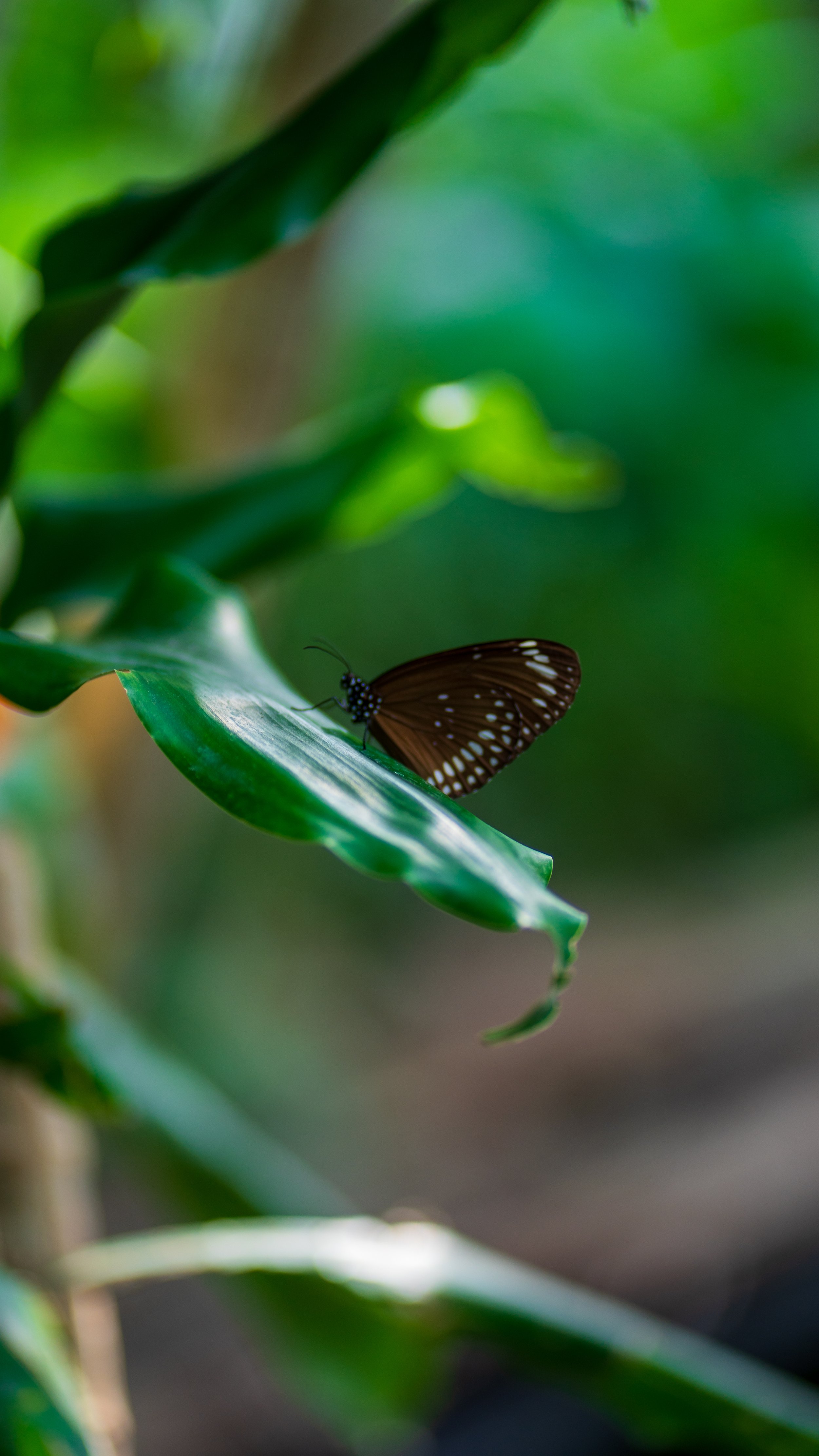 _DSC5574.jpg
