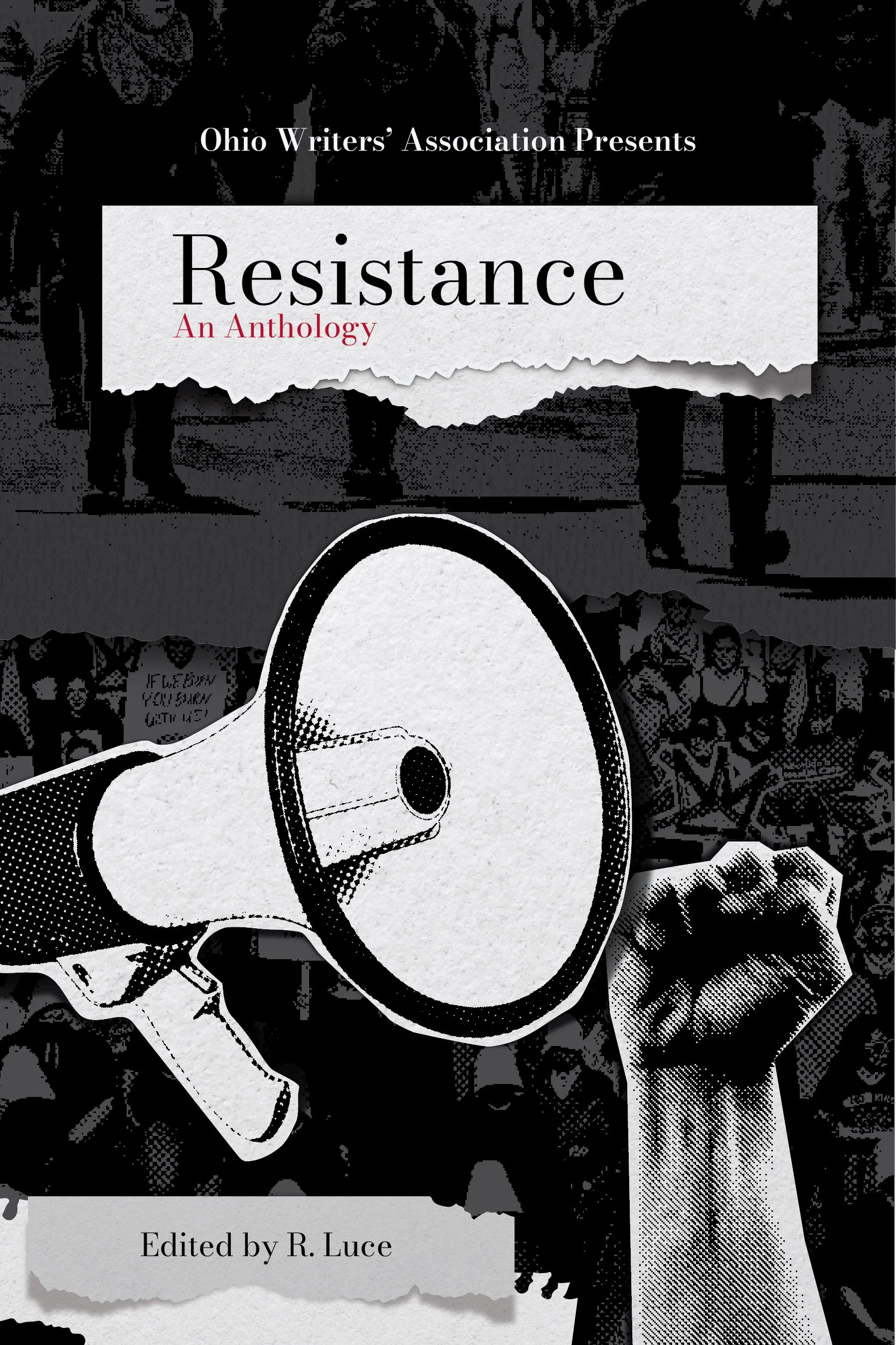 Resistance fin-01.jpg