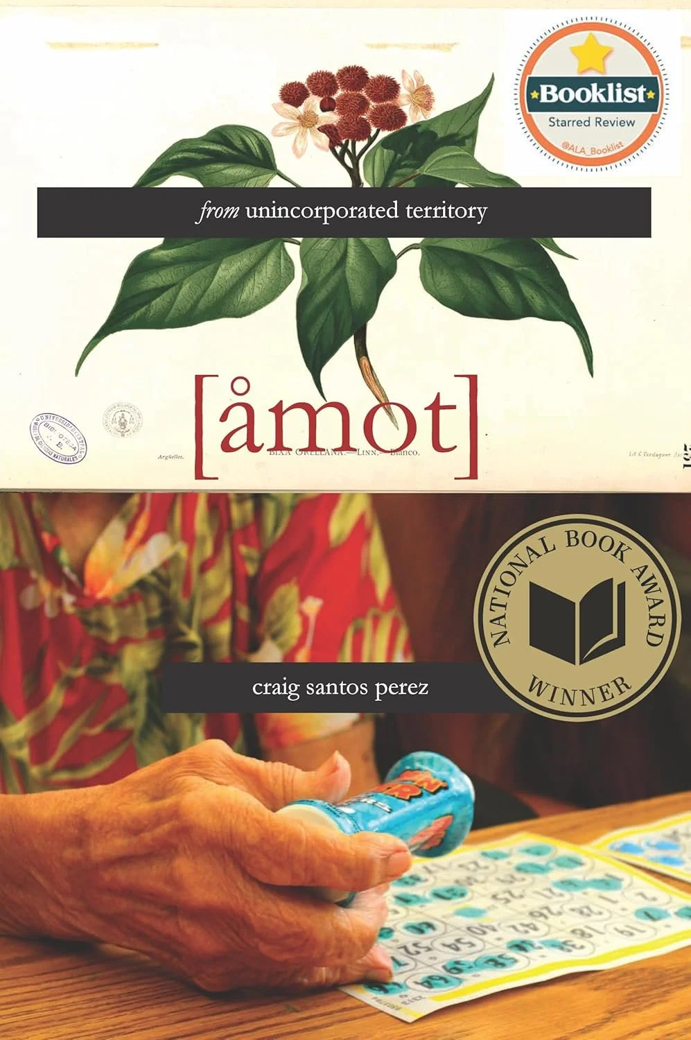 Perez, Craig Sants - Amot.jpg