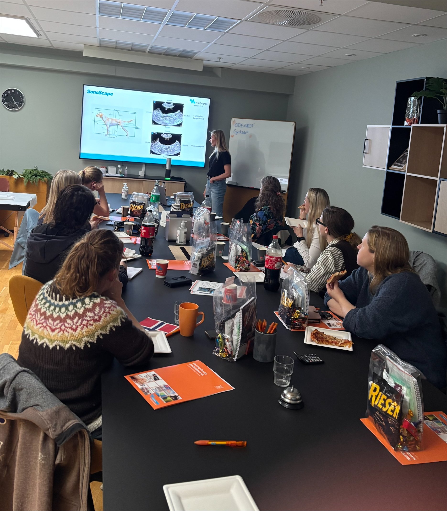 En gruppe mennesker deltar på et foredrag i et konferanserom, med en kvinnelig speaker som viser bilder av en hund og ultralyd på en skjerm.