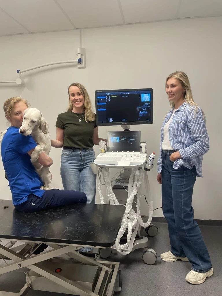 Demo av ProPet-serien på Røyken og Omegn Dyreklinikk