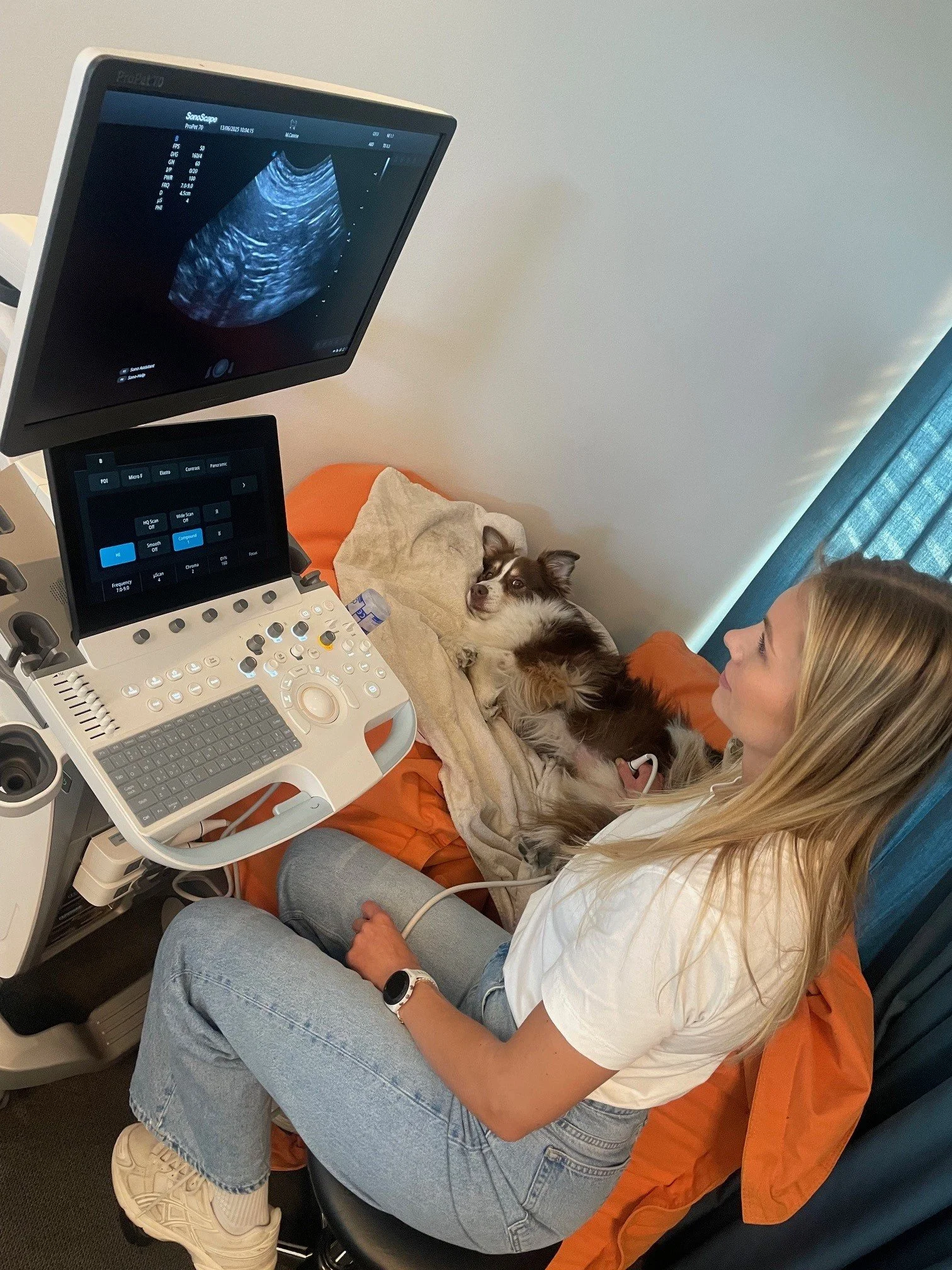 Veterinærundersøkelse av en hund med ultralyd, kvinnen sitter ved siden av hunden på undersøkelsesbordet, mens hunden ligger på den med hodet vendt mot utgangen.