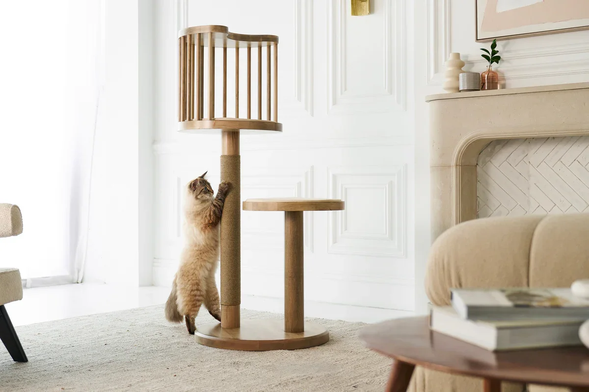 Purrsona_Lifestyle_Smoke_849.webp