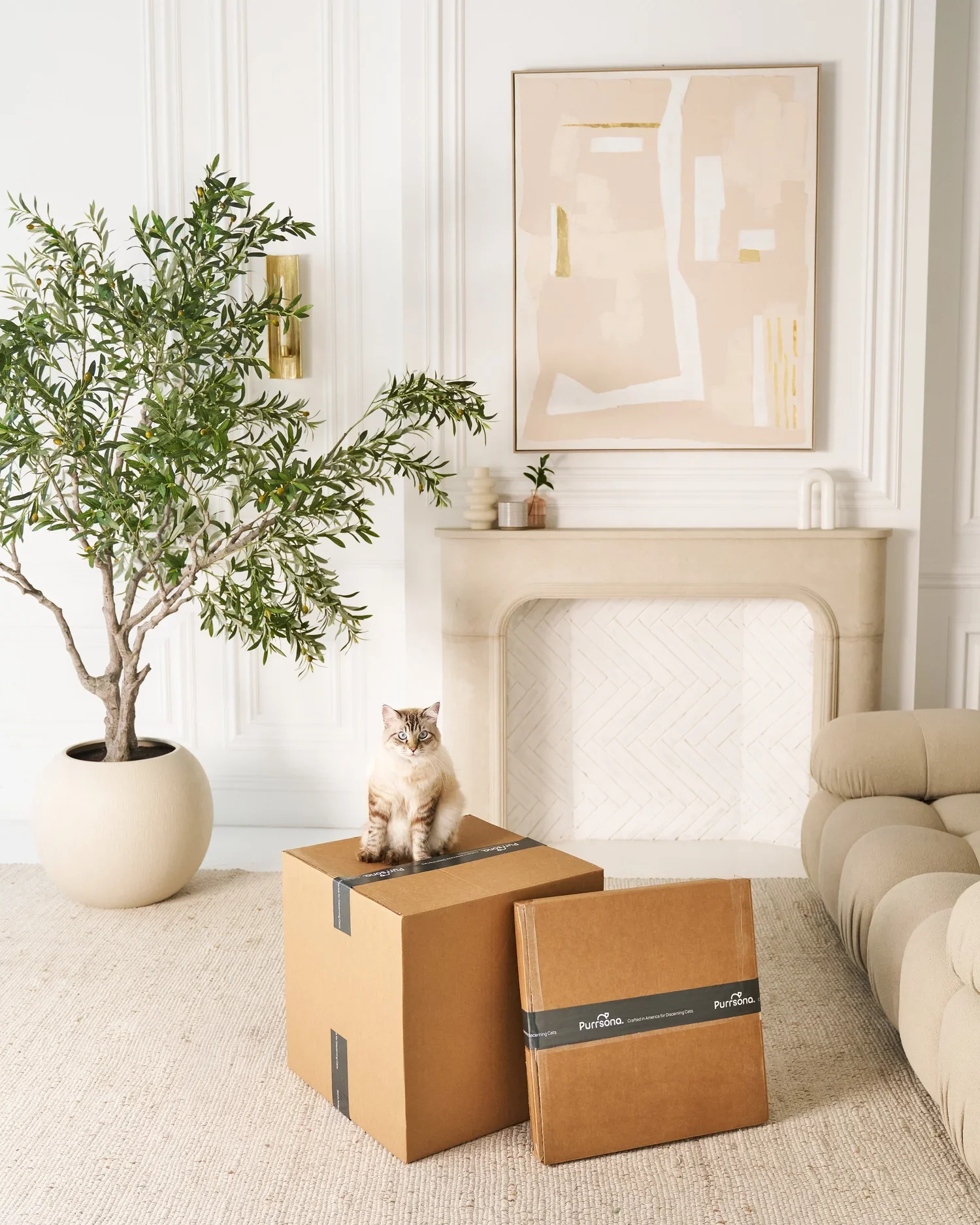 Purrsona_Lifestyle_Unboxing_913.webp