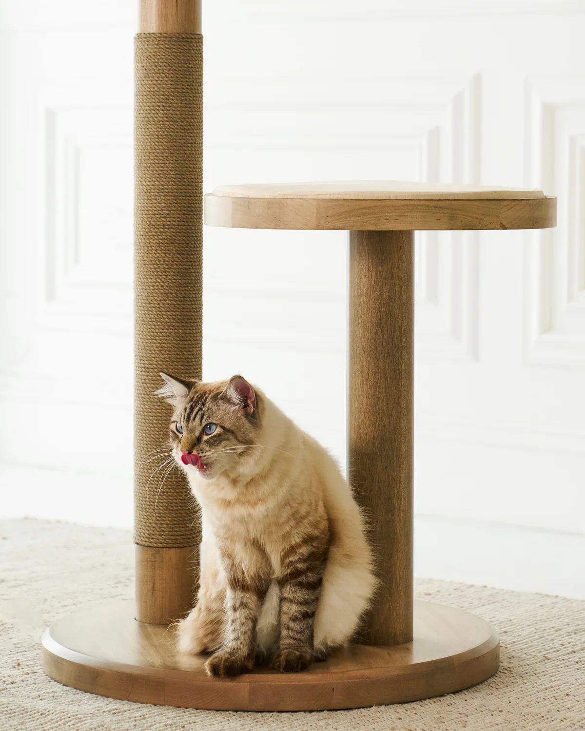 Purrsona_Lifestyle_Smoke_774.webp