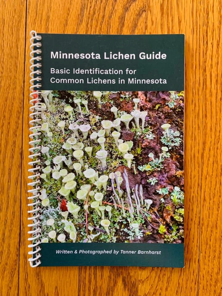 Lichen Book.jpeg