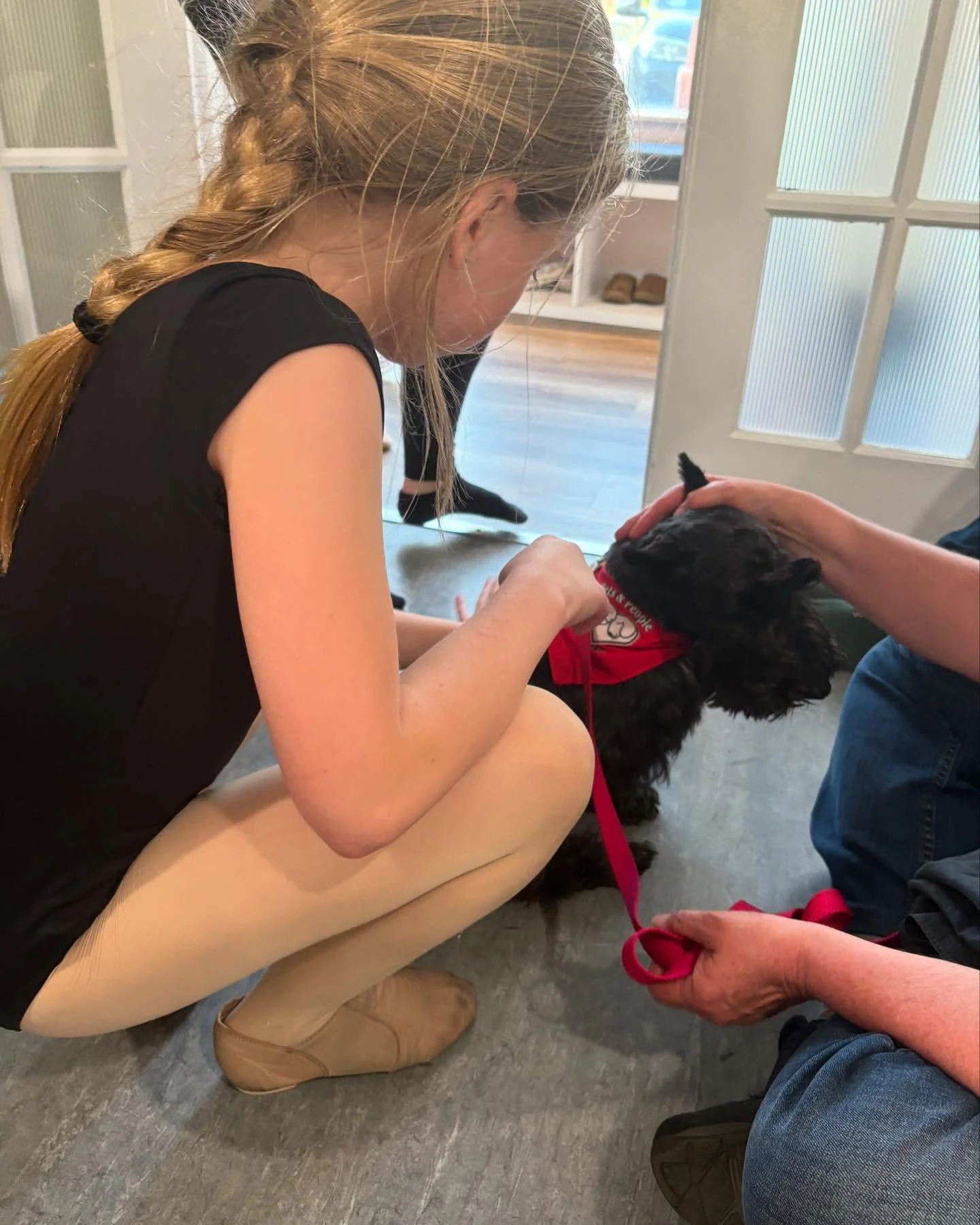 We were so saddened to hear of the recent unexpected passing of Hannah Wasserman. Hannah was a senior at Concord-Carlisle High School and a dancer at @pkdancecenter with an extremely bright future ahead of her. 

Dance was something Bruna loved throu