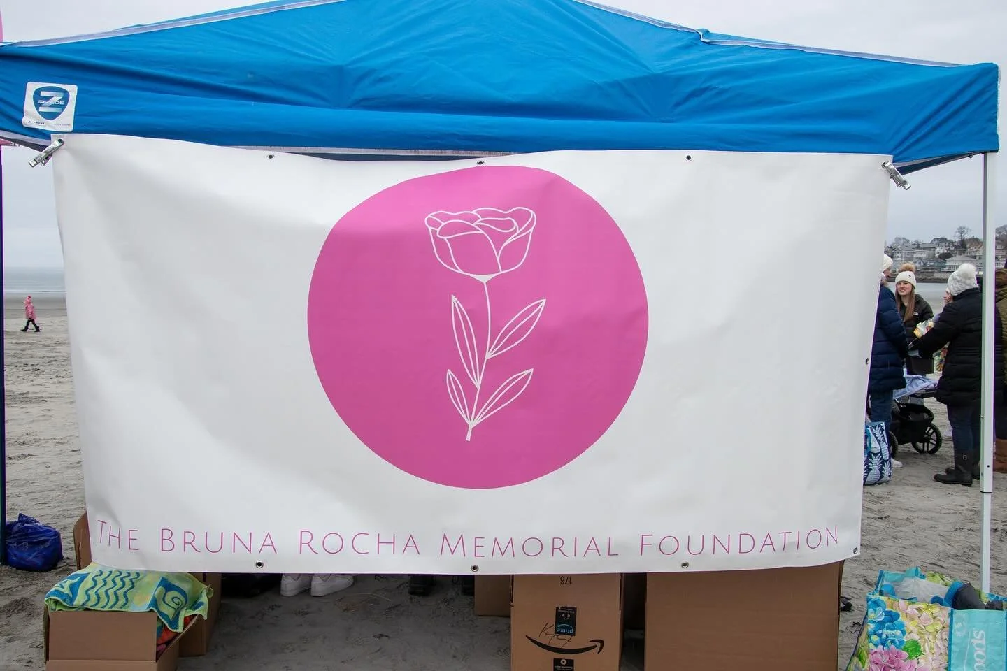 Scenes from Nahant Beach at The Bruna Rocha Memorial Foundations 2024 Polar Plunge