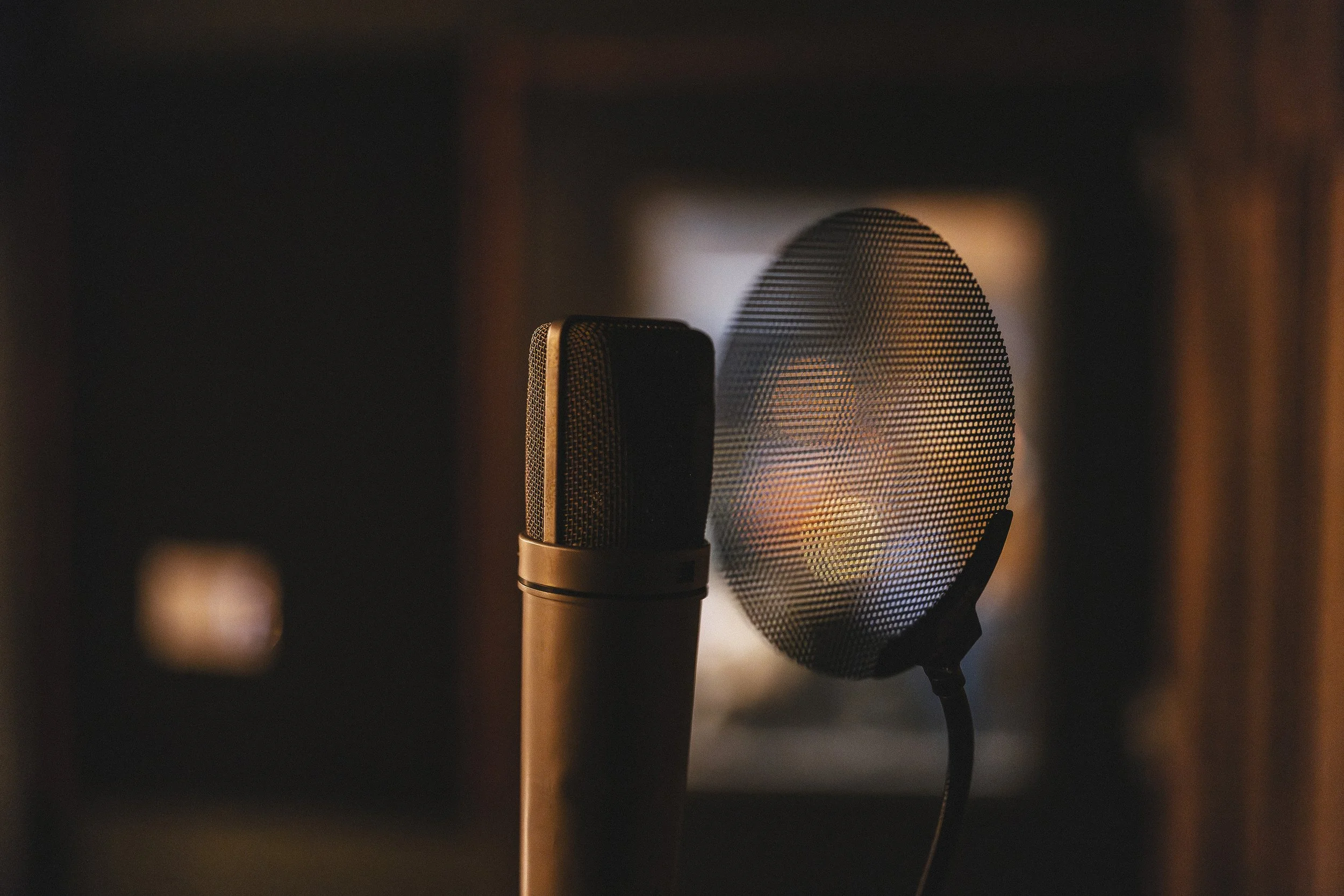 Neumann U87 Recording