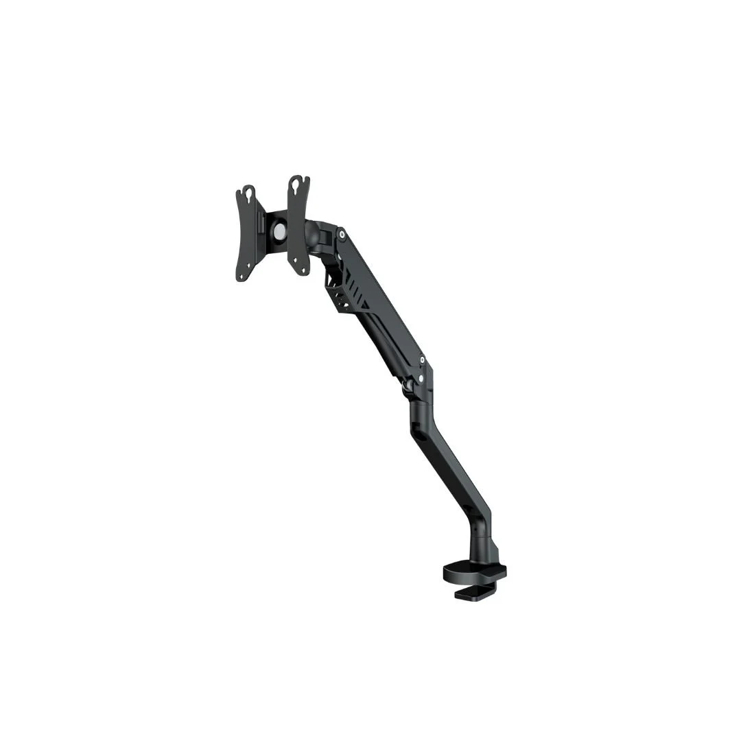 Monitor Arm Raleigh