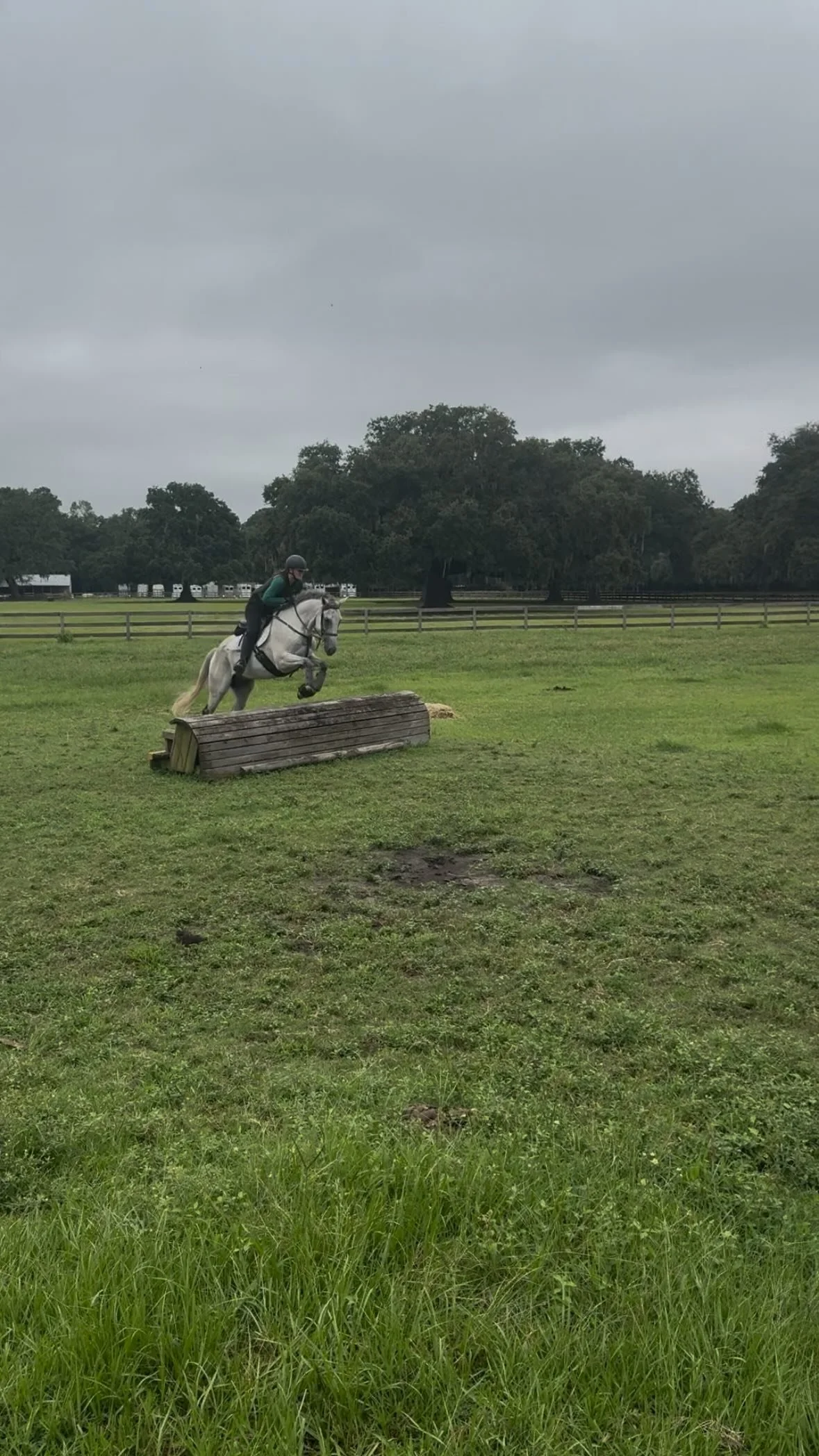 Sale horse Sullie went cross country schooling today and was a super star!
www.oakridgeeventingtrainingllc.com/sales