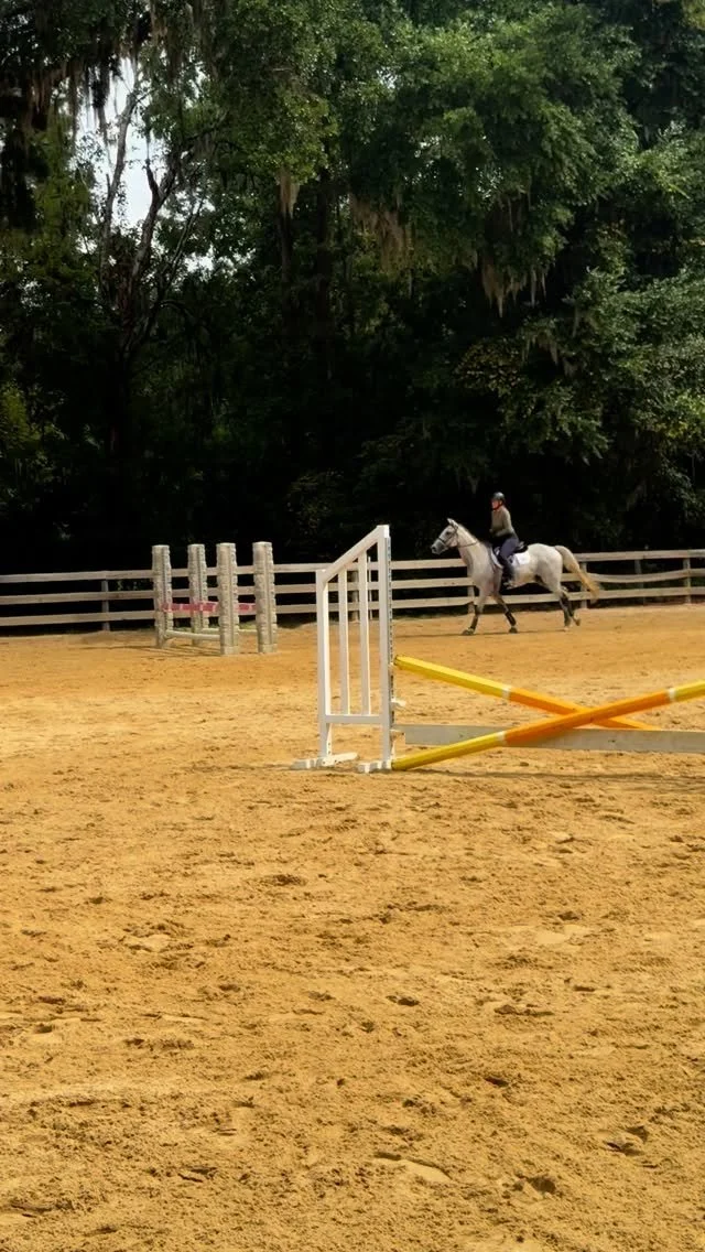 🤩 Sullie had a fun jump school at @middletonplaceequestriancenter this morning. Check out his listing @oakridge.eventing