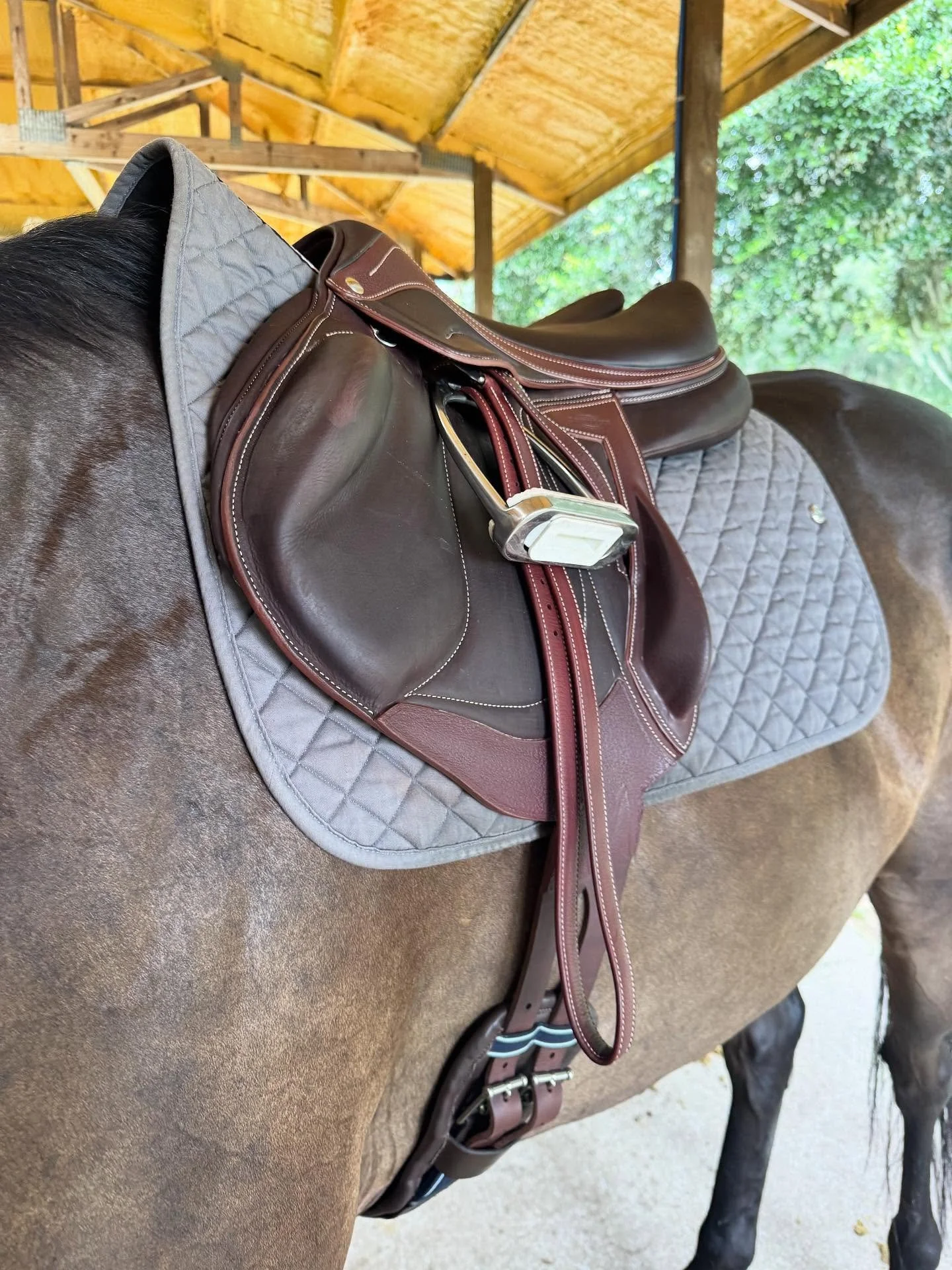 THIS SADDLE! I get so many questions…
YES it’s got a funny shape
YES I feel a difference
YES I love it
But most importantly, YES my horses love it!
#devoucoux #devoucouxenara
@eva_devoucoux_carolinas @devoucoux_usa_can_official