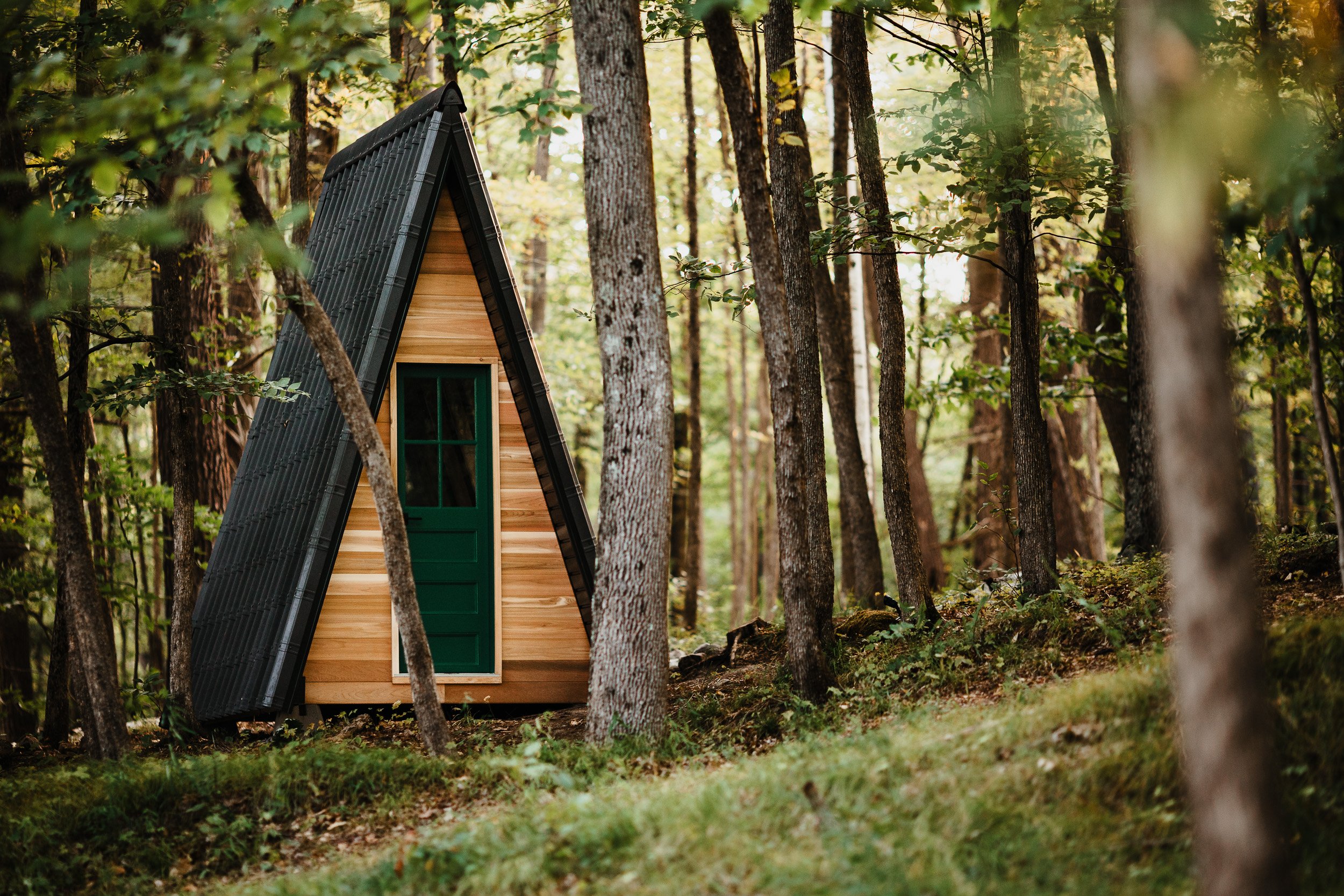 10-Tiny A-Frame.jpg