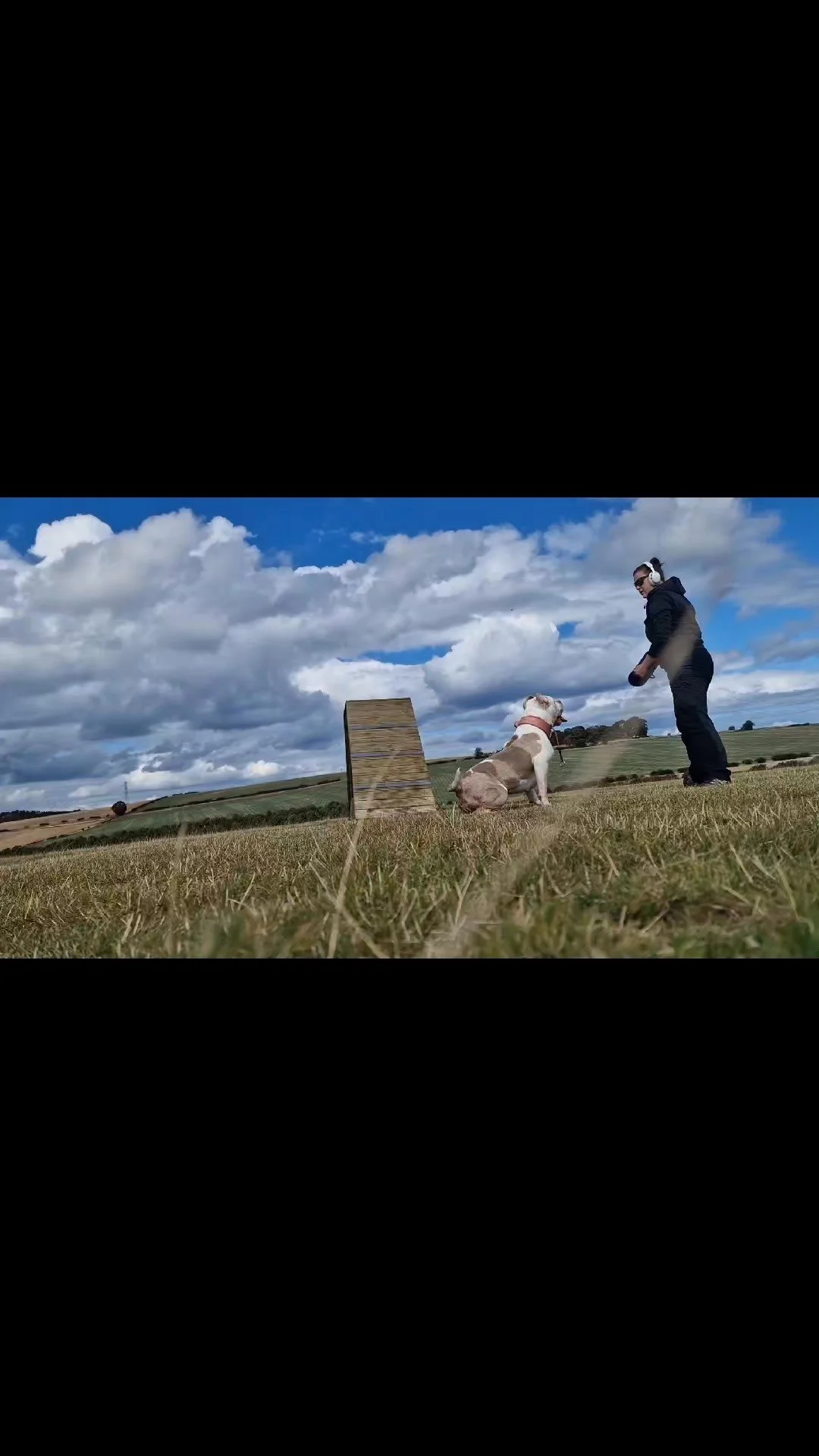 Even on days when you don't feel so good, it doesn't take much to ensure your dogs needs are fulfilled. I took B down to Unleashed Dog Parks and we worked on some obedience. #BarkSideOfMidlothian #DogTraining #SmallBusinesses #Midlothian #Scotland