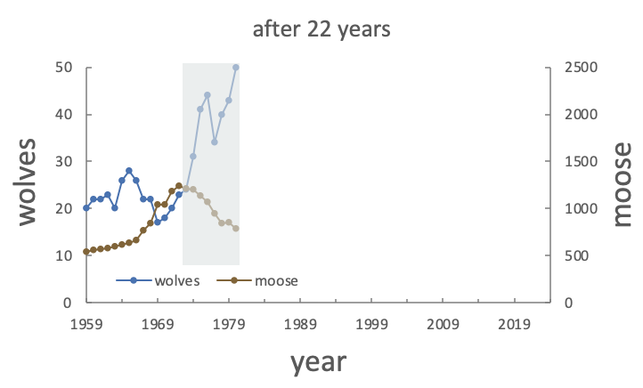 Wolf Rabbit Graph Wolf Moose Timeline — Wolf-Moose Project