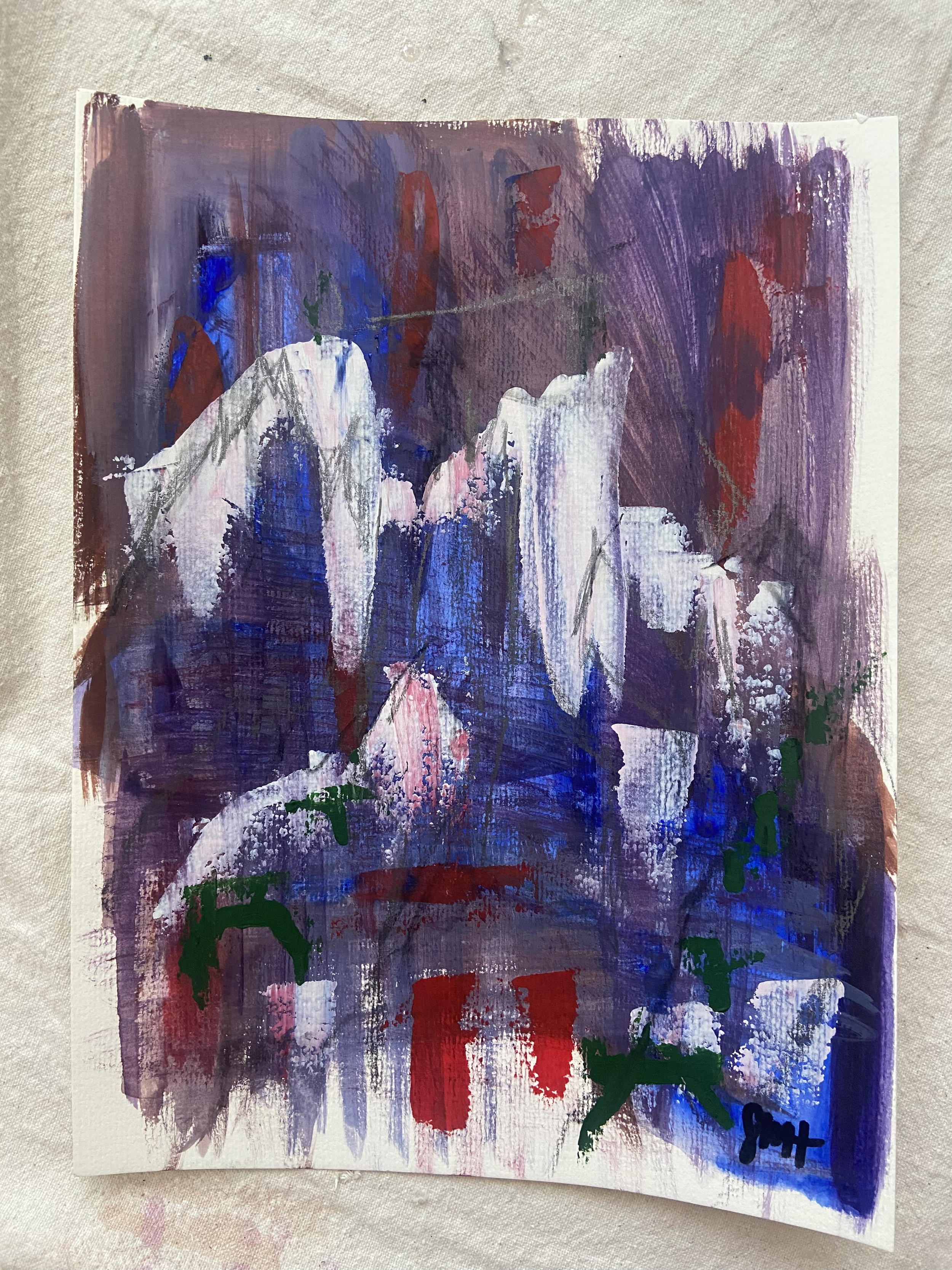 Sarah Hawkins Jay Peak Study IX.png