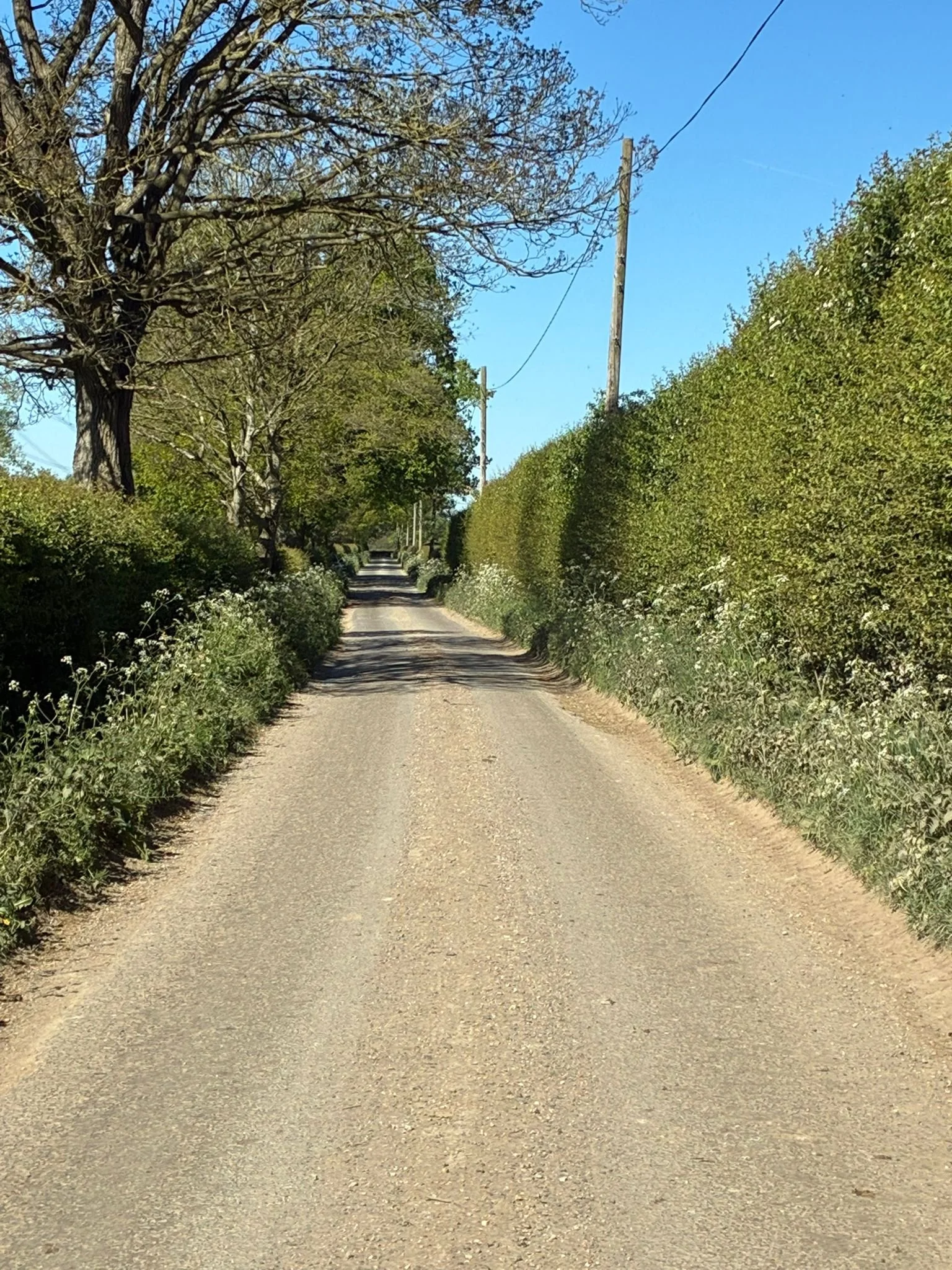Holmbush Farm drive.jpeg