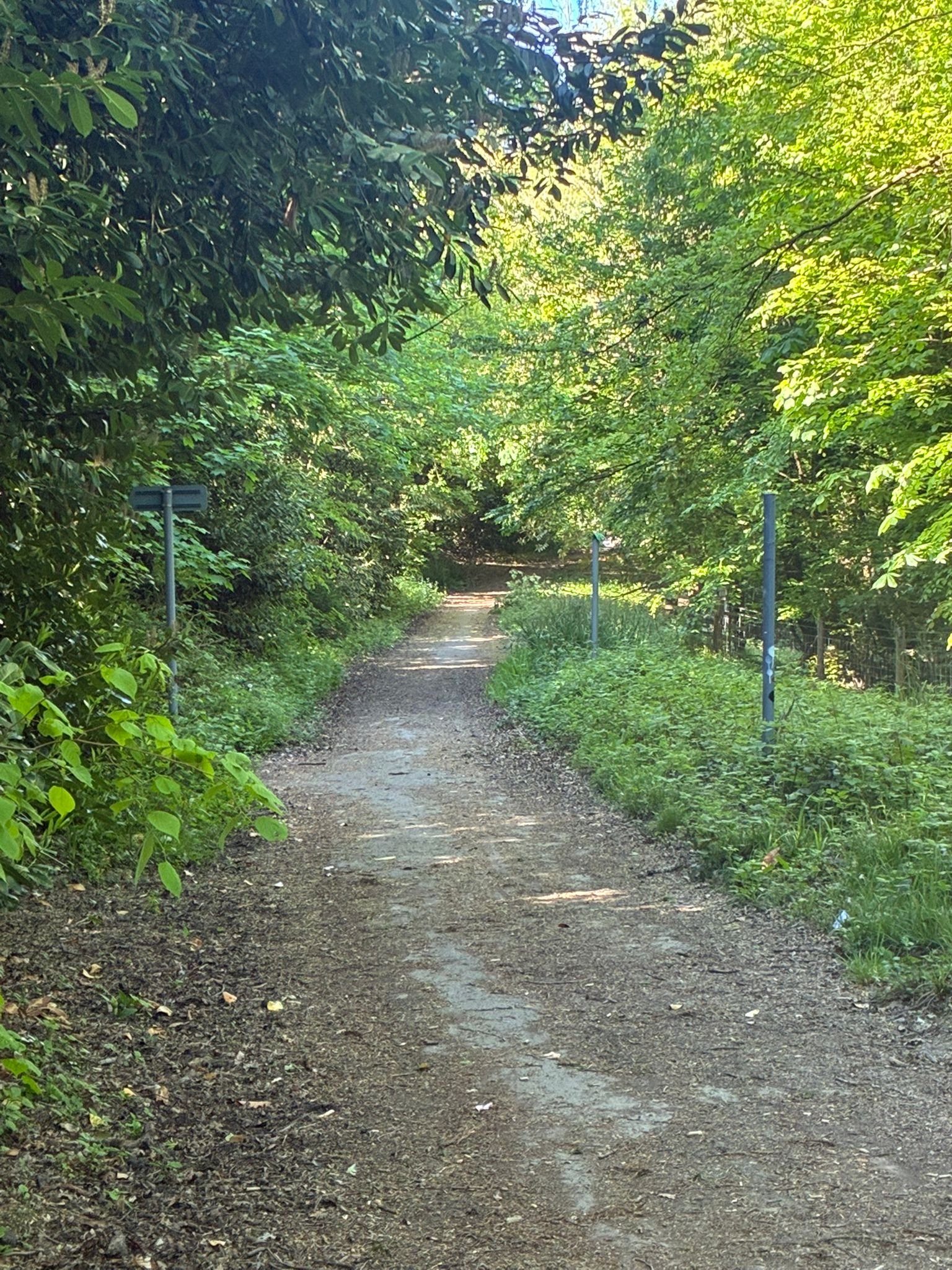 Old Issac’s lane (between Heaselands and the Meads) (2).jpeg
