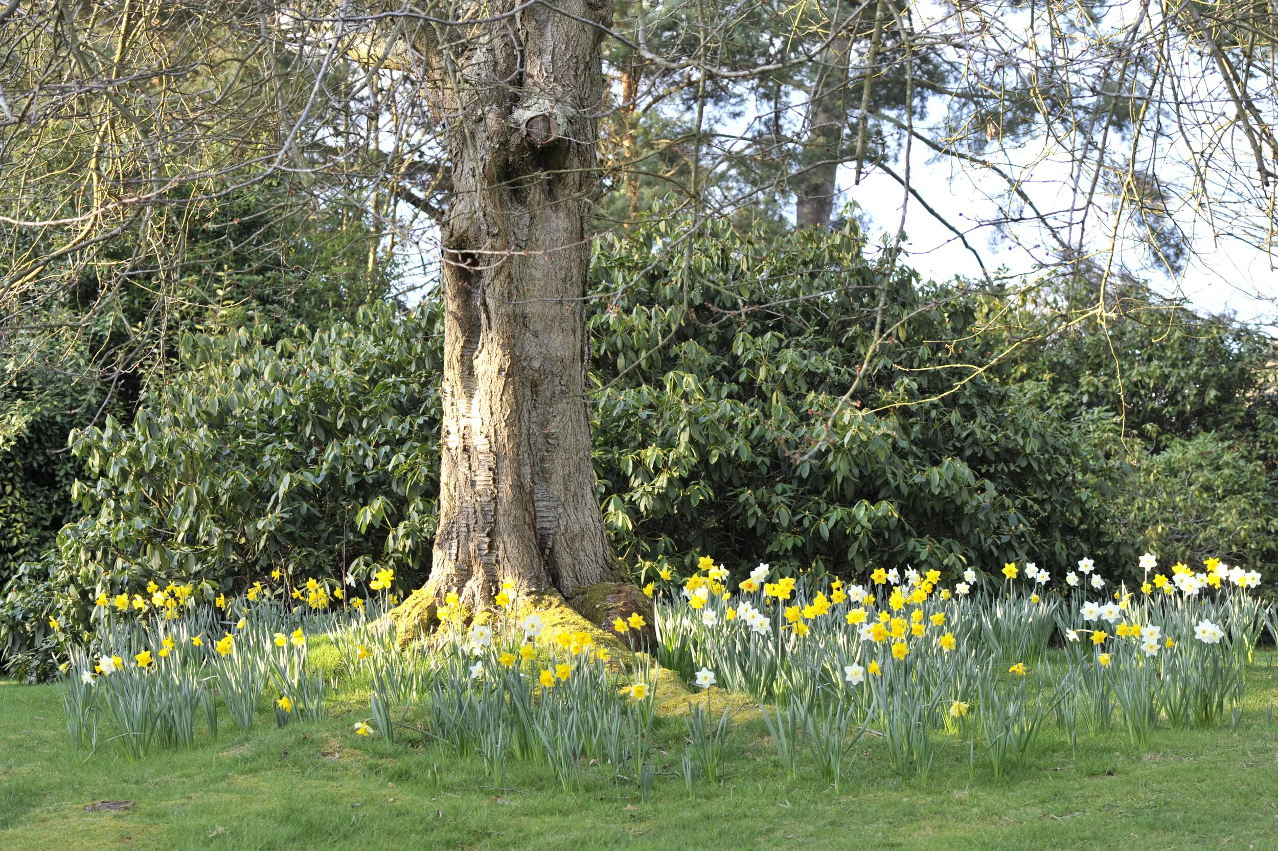 March on the Heaselands Estate