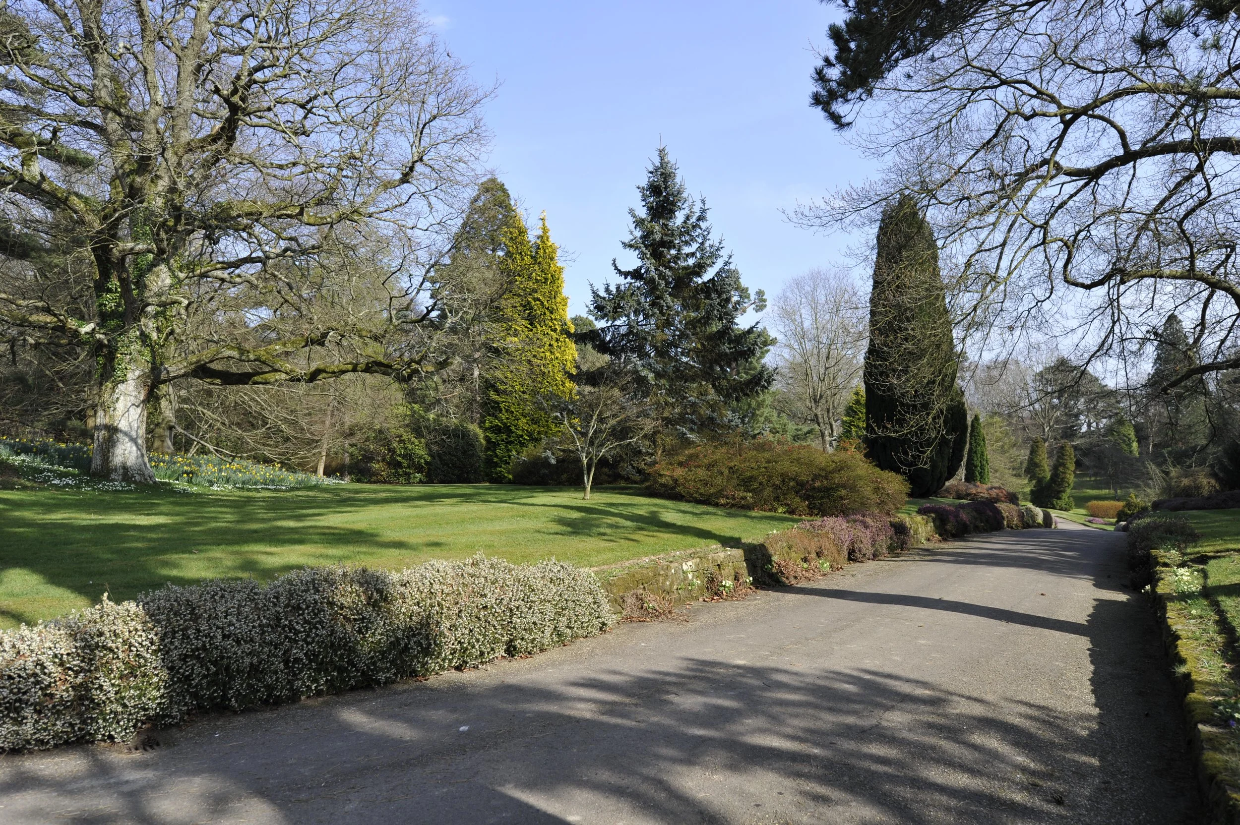 March on the Heaselands Estate